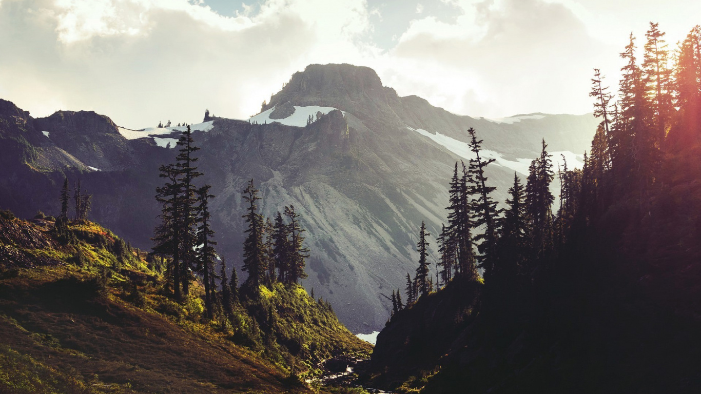 Green Pine Trees Near Mountain Under White Clouds During Daytime. Wallpaper in 1366x768 Resolution