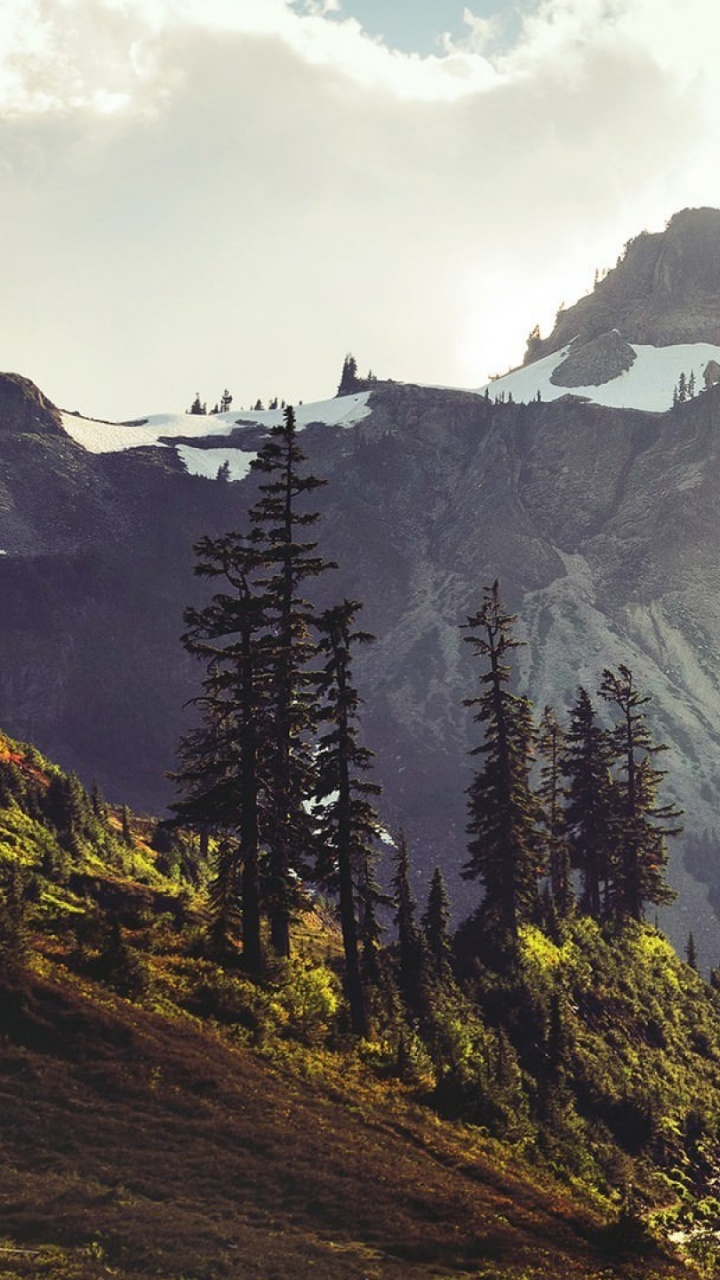 Green Pine Trees Near Mountain Under White Clouds During Daytime. Wallpaper in 720x1280 Resolution