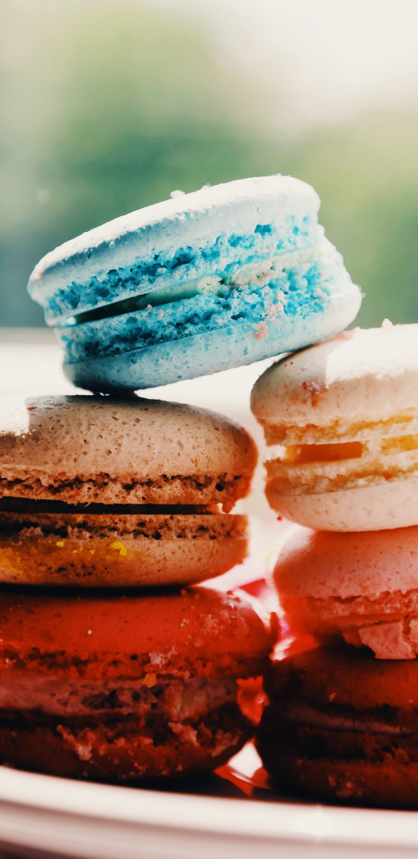 Macaroon, Paris, Dessert, Macaron, Kuchen. Wallpaper in 1440x2960 Resolution