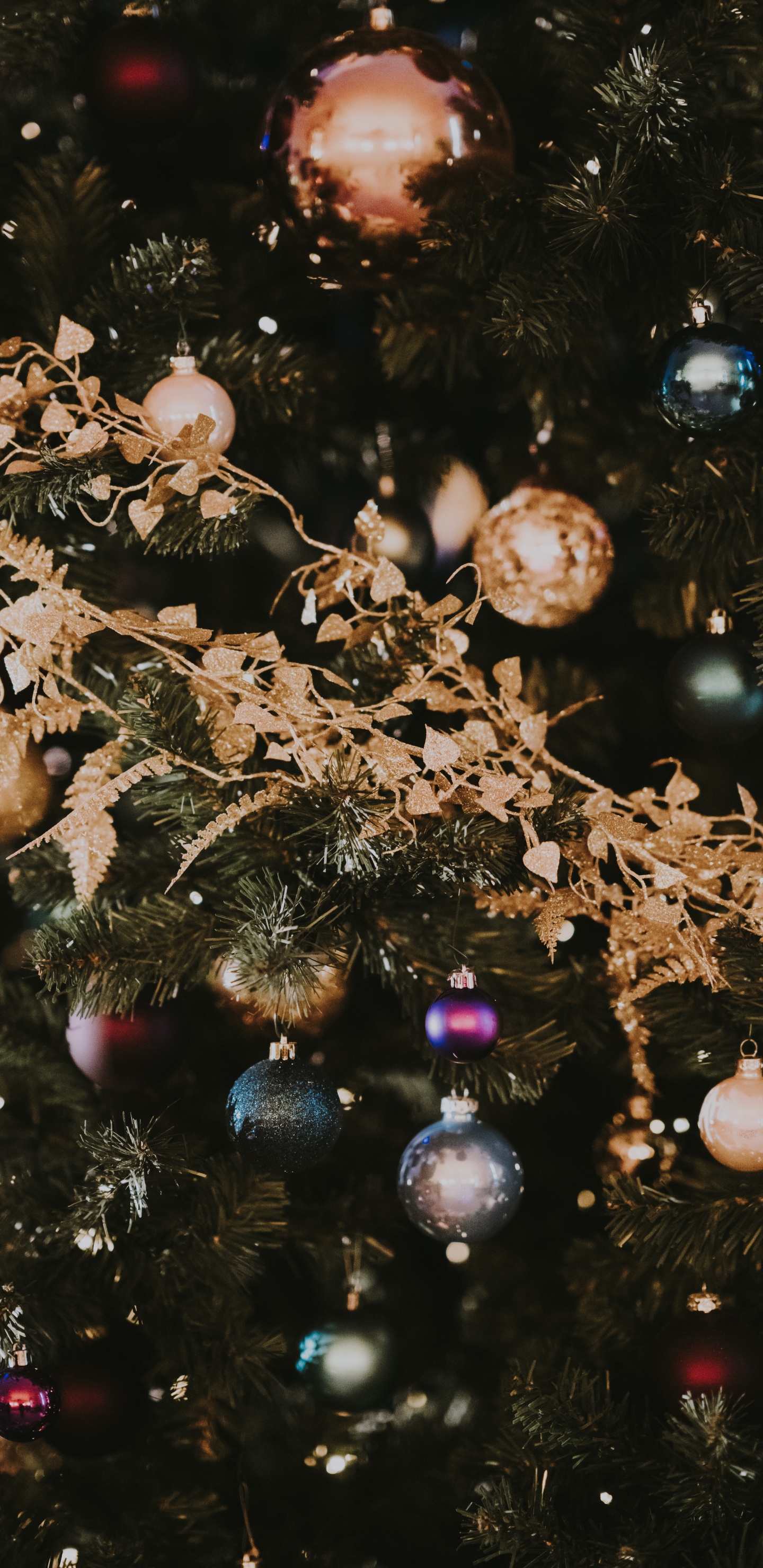 Christmas Day, Christmas Ornament, Christmas Tree, Tree, Christmas. Wallpaper in 1440x2960 Resolution