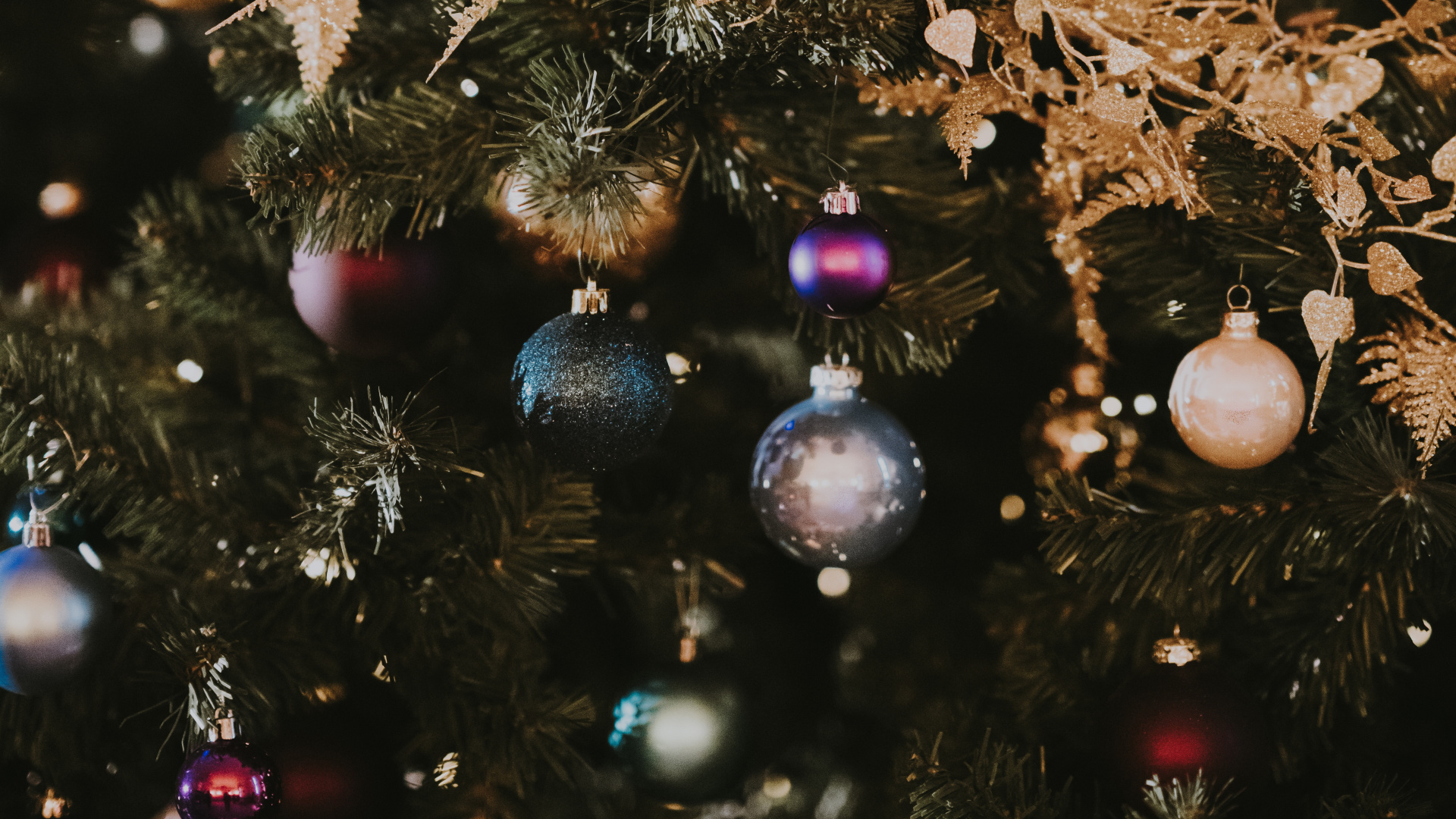 Christmas Day, Christmas Ornament, Christmas Tree, Tree, Christmas. Wallpaper in 1920x1080 Resolution