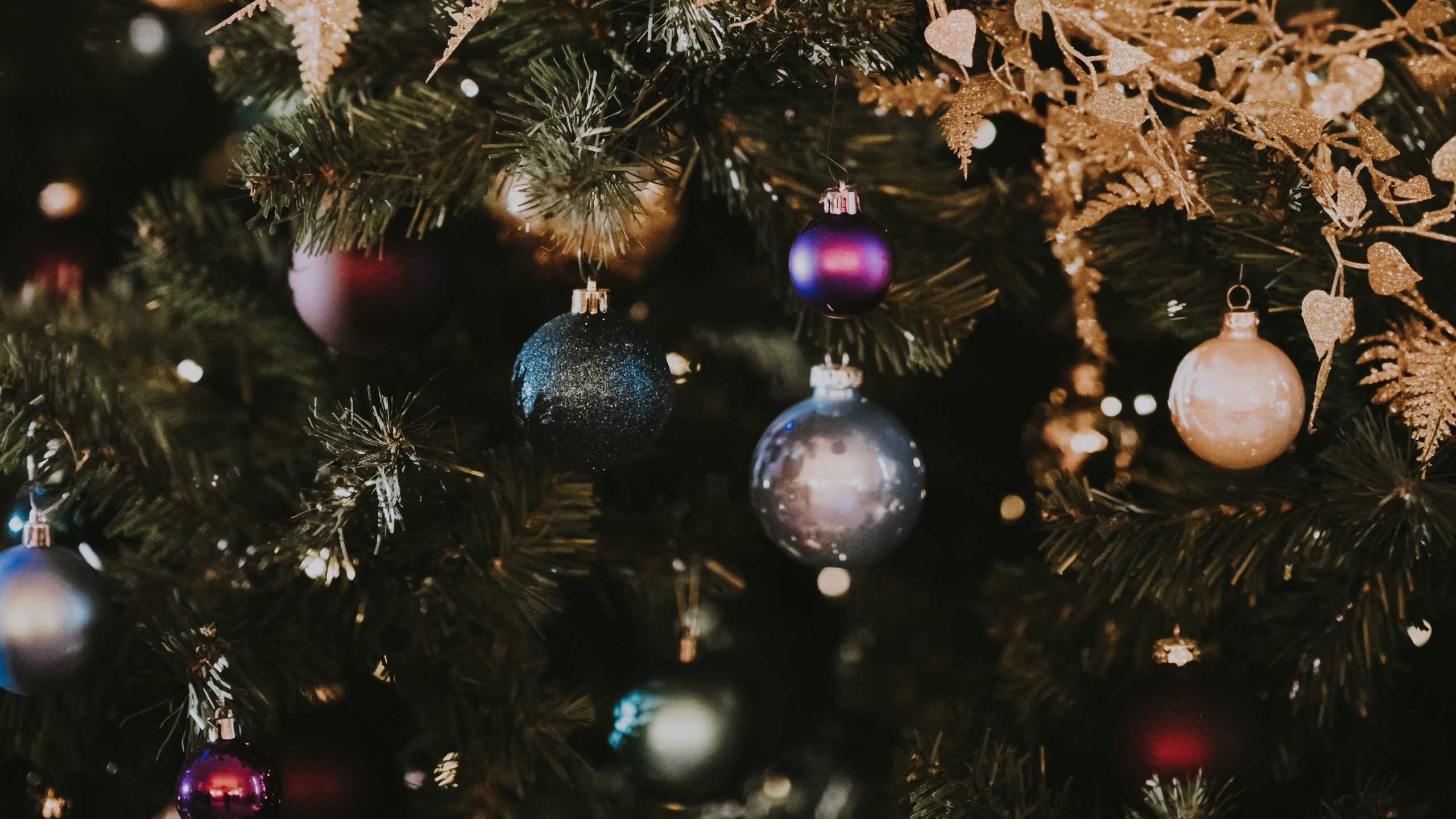 Christmas Day, Christmas Ornament, Christmas Tree, Tree, Christmas. Wallpaper in 2560x1440 Resolution