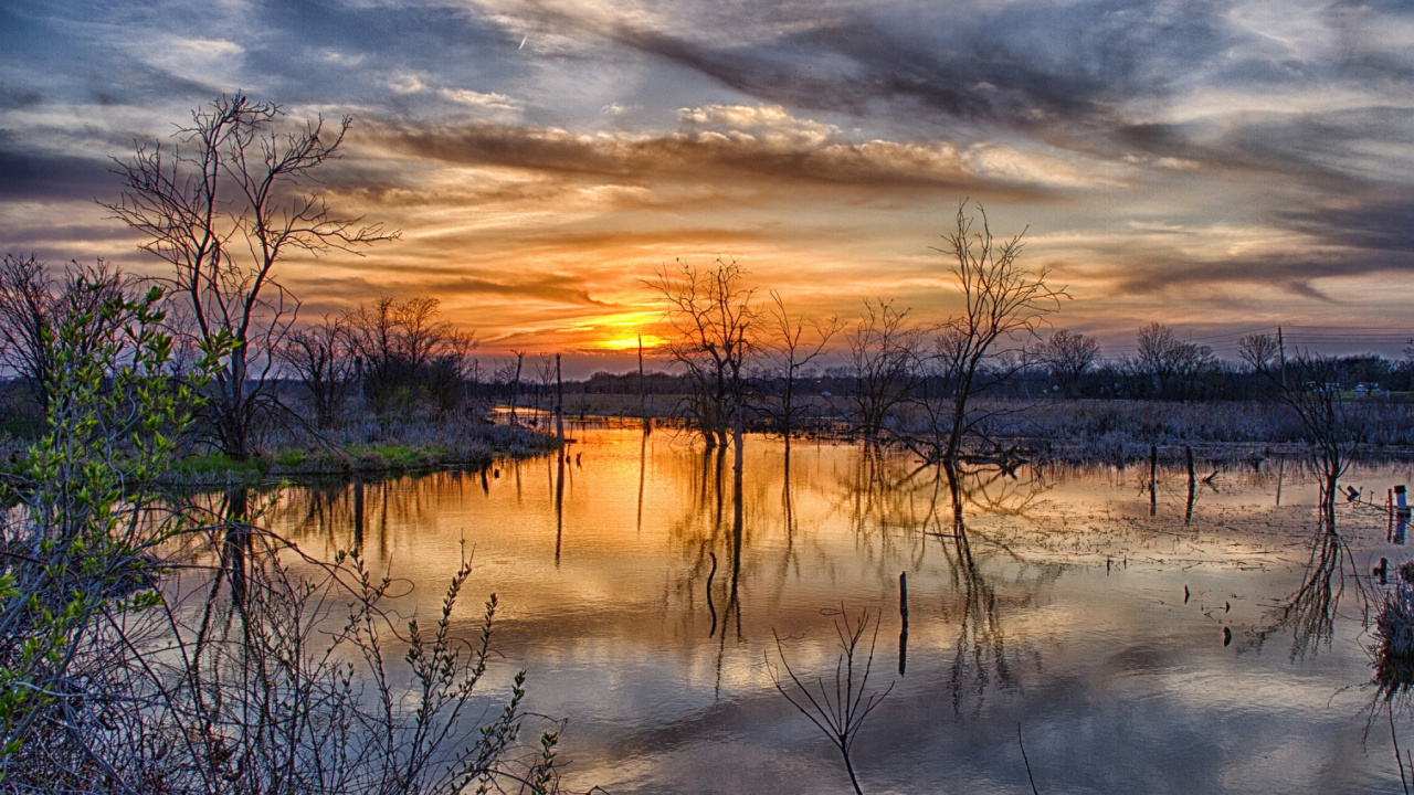 Green Grass on Lake Under Cloudy Sky During Sunset. Wallpaper in 1280x720 Resolution