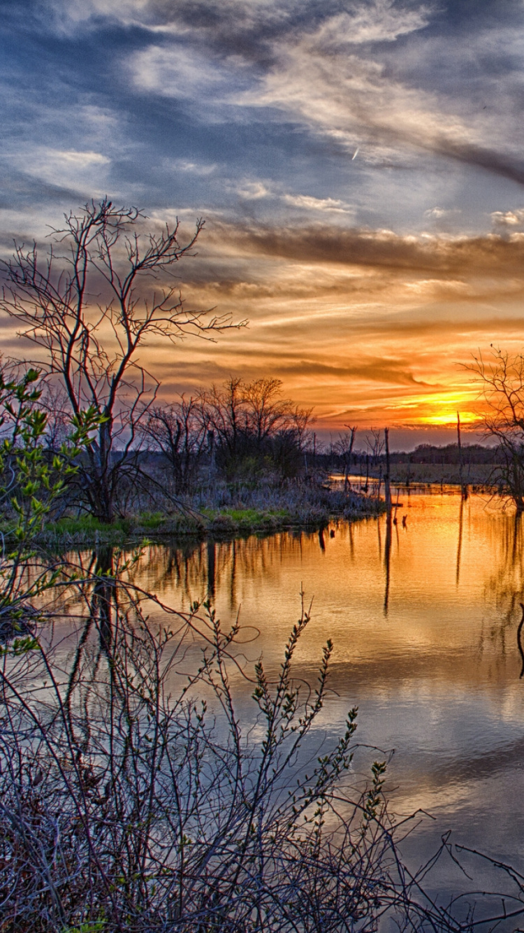 Green Grass on Lake Under Cloudy Sky During Sunset. Wallpaper in 750x1334 Resolution