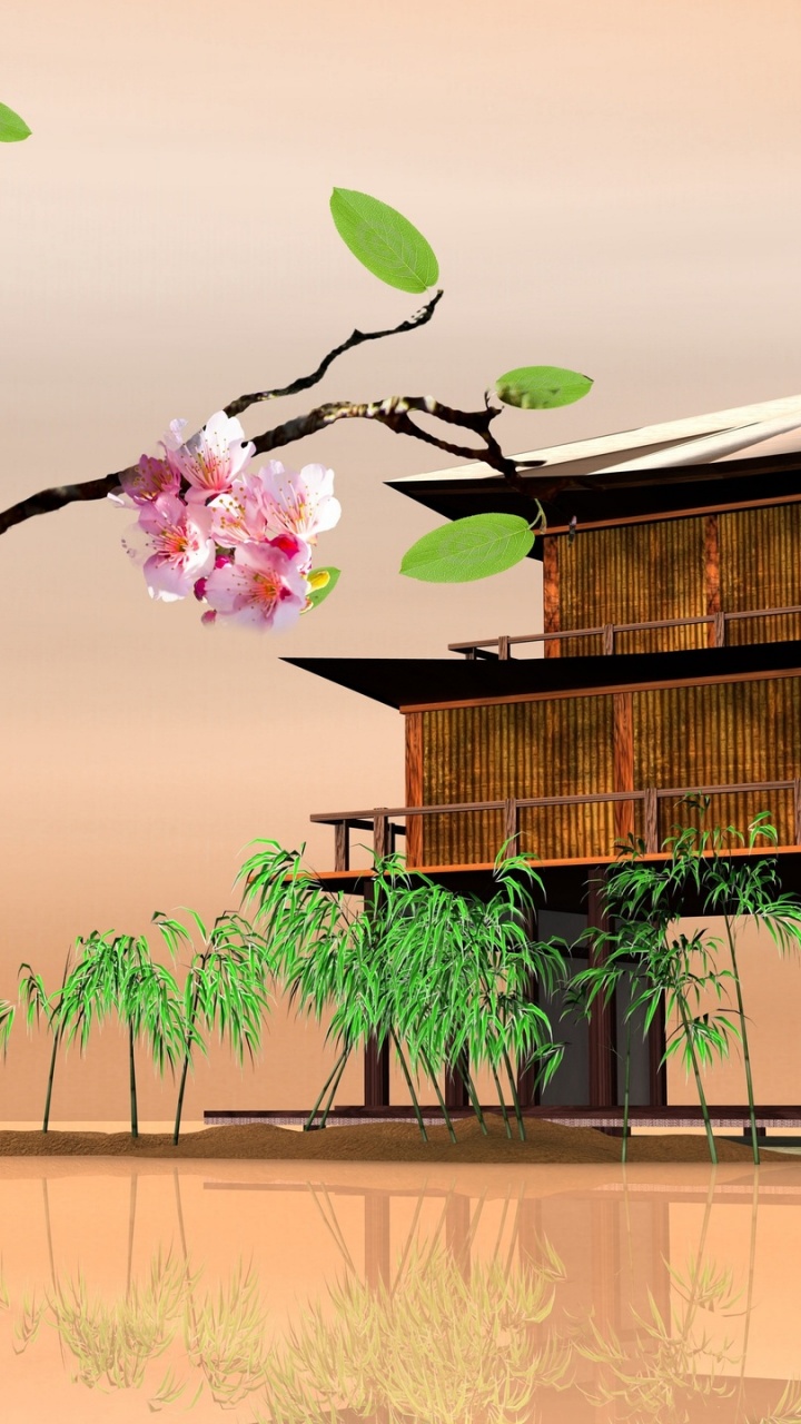 Pink Cherry Blossom Near Brown Wooden House During Daytime. Wallpaper in 720x1280 Resolution