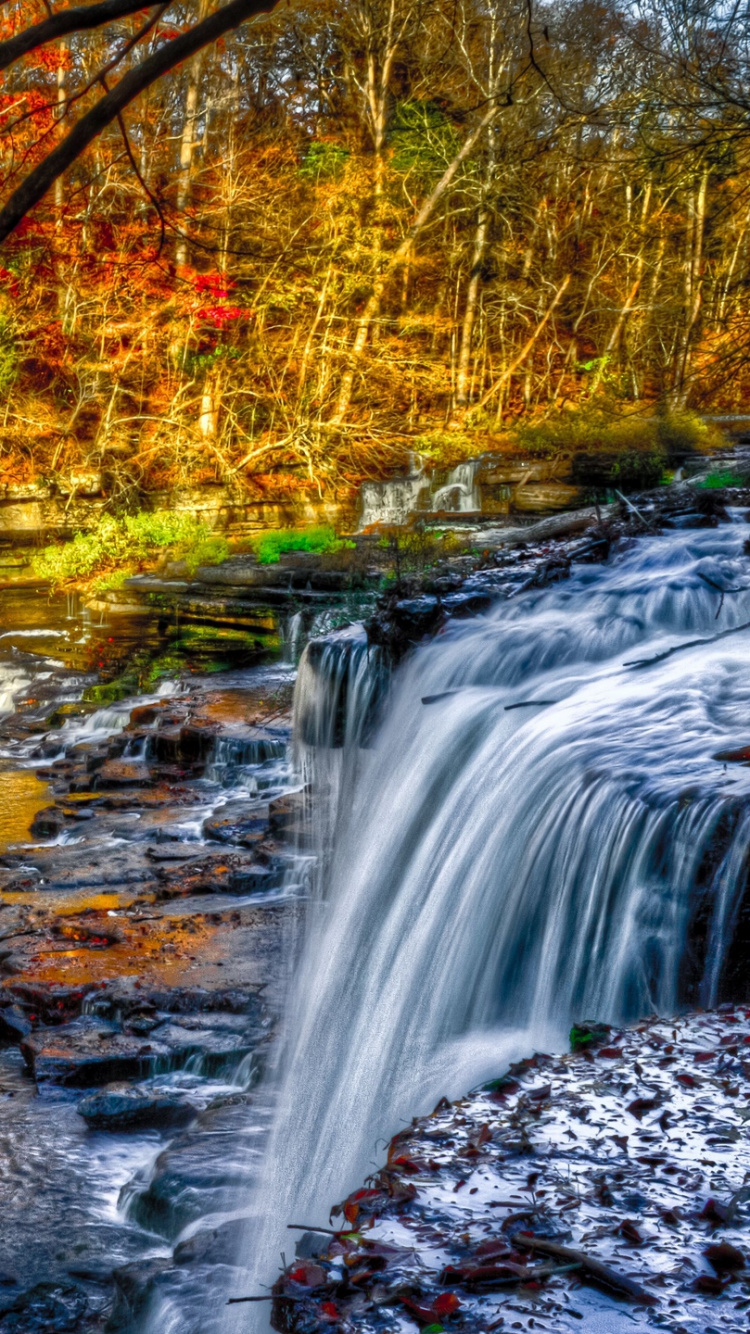 el Agua Cae en Medio Del Bosque. Wallpaper in 750x1334 Resolution