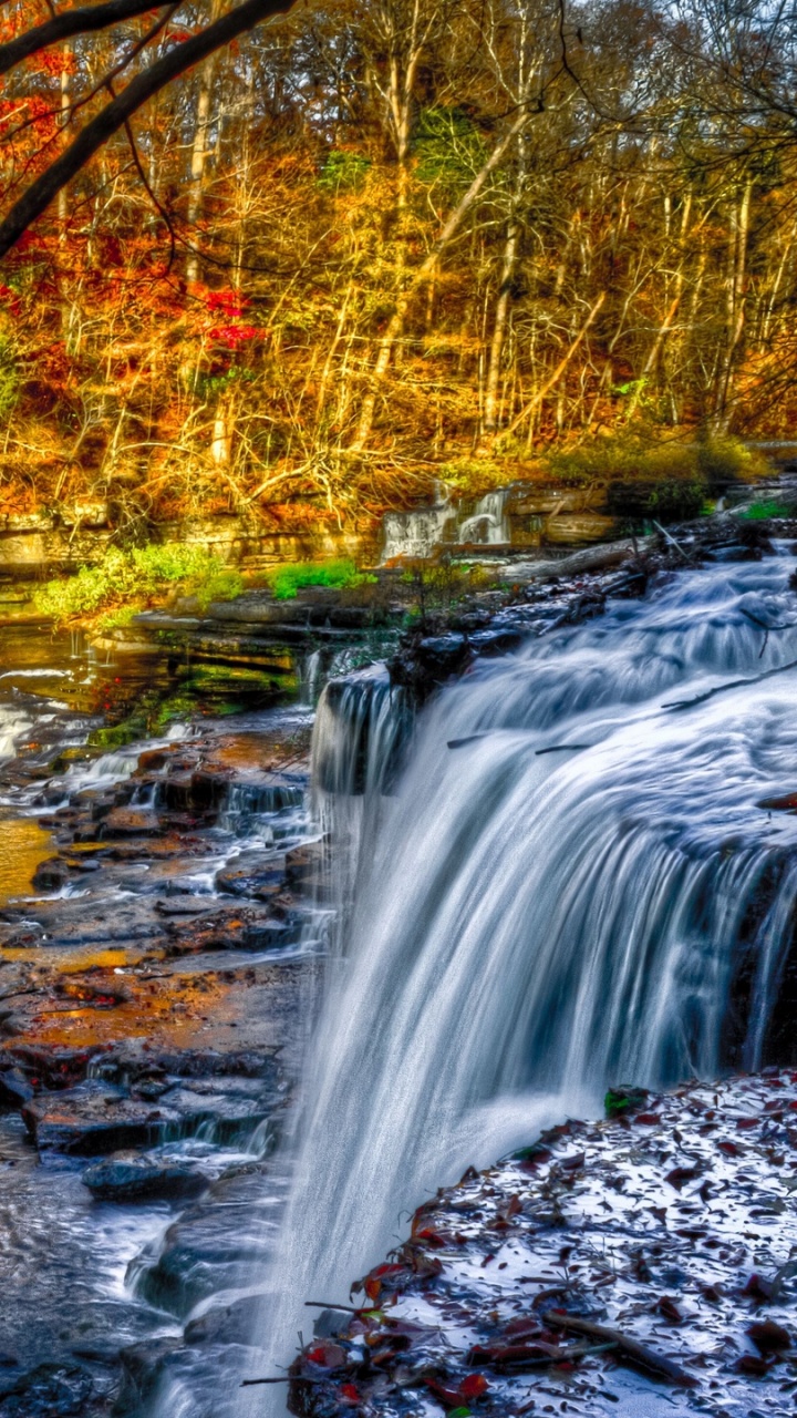 Water Falls in The Middle of The Forest. Wallpaper in 720x1280 Resolution