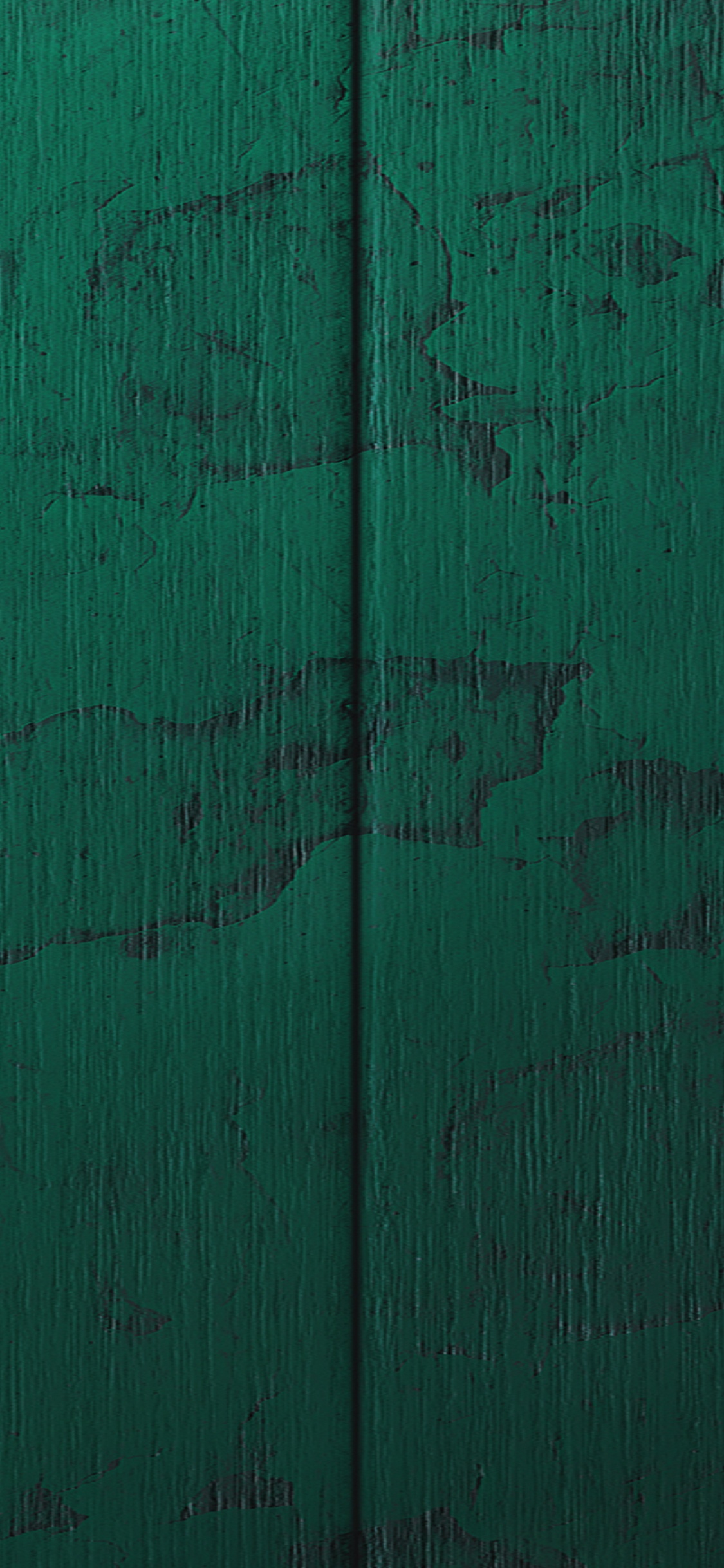 Green Wooden Wall With Hole. Wallpaper in 1125x2436 Resolution