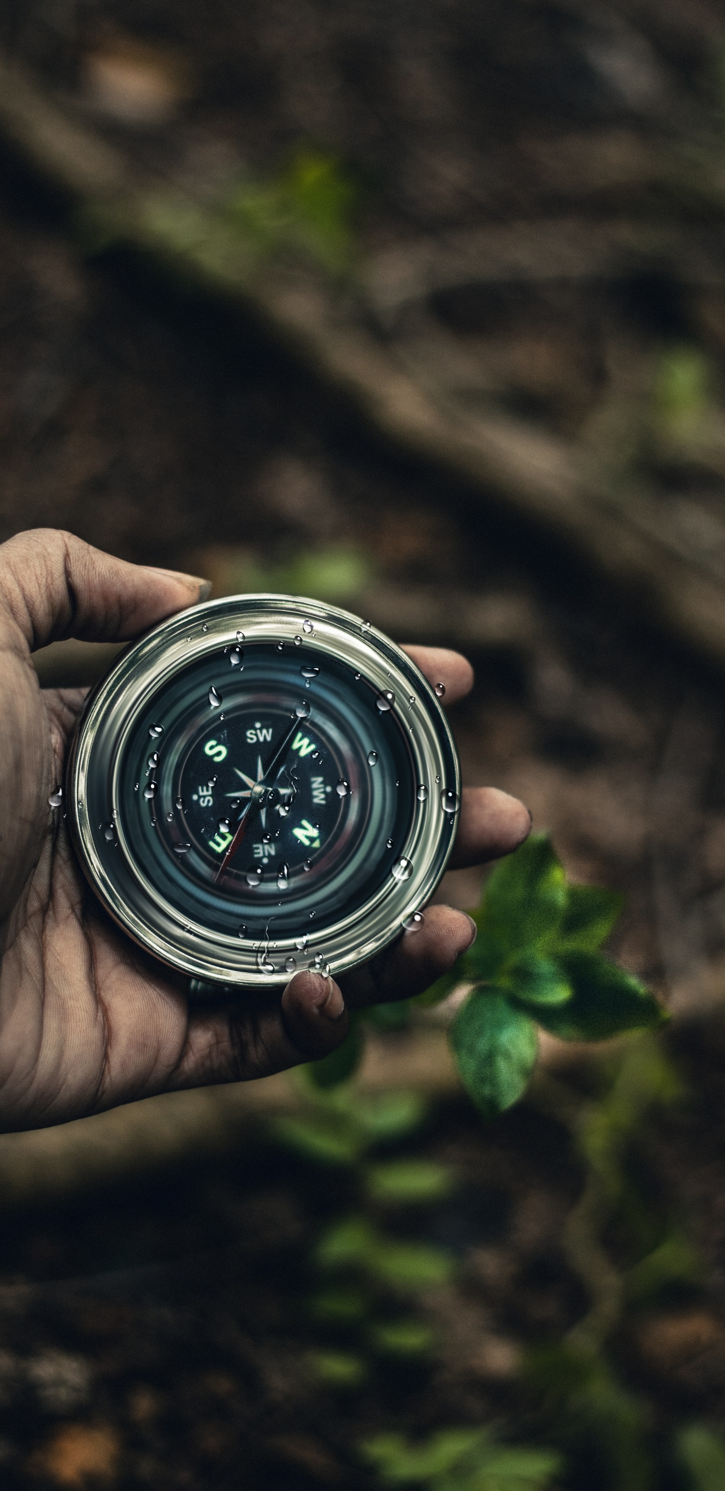 Person, Die Silbernen Runden Behälter Hält Holding. Wallpaper in 1440x2960 Resolution