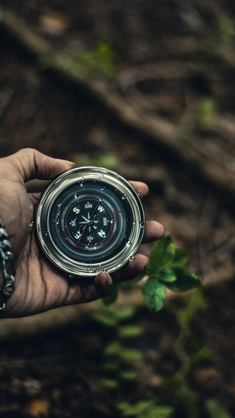 Person, Die Silbernen Runden Behälter Hält Holding. Wallpaper in 750x1334 Resolution