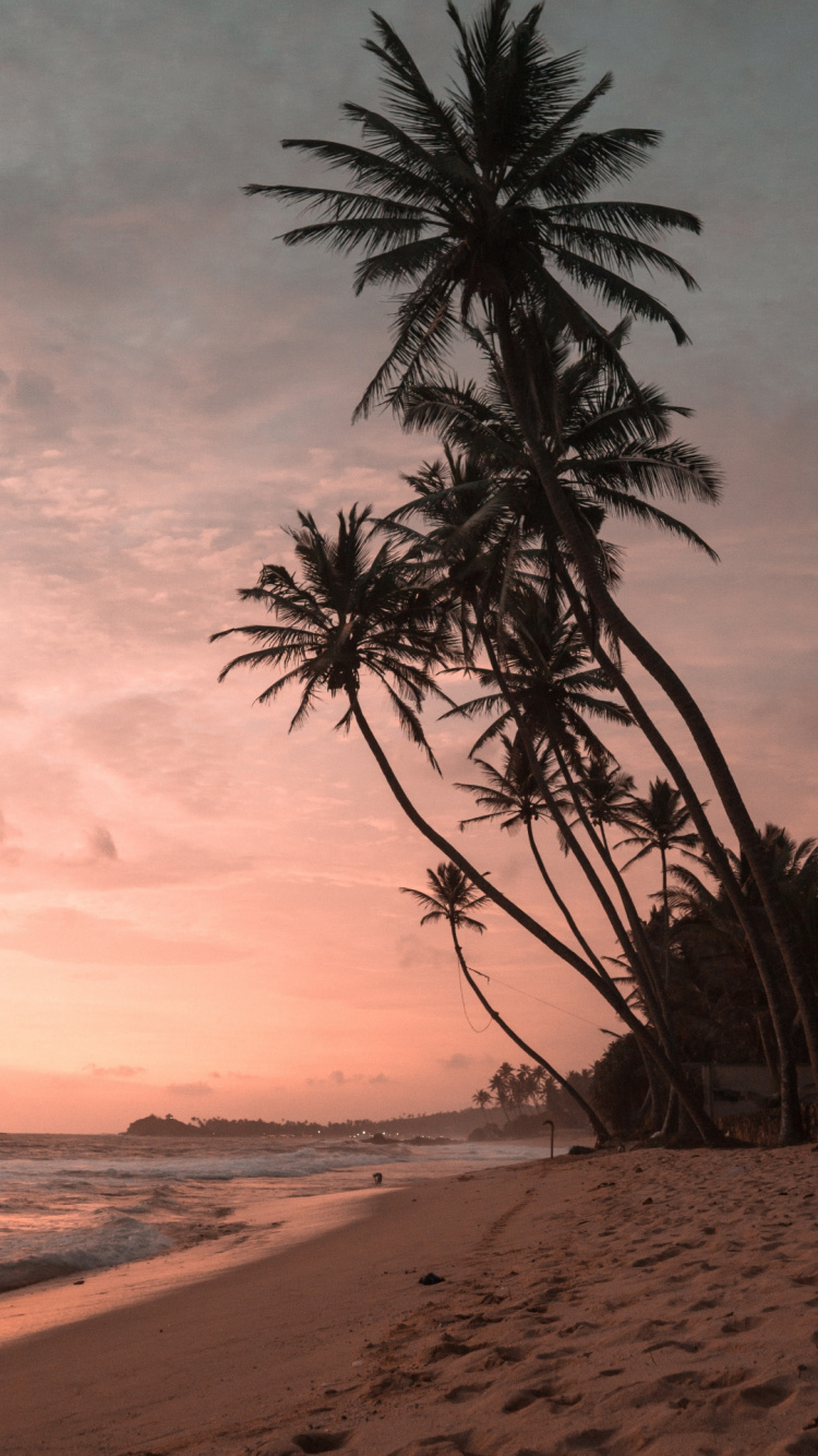 Nature, Cloud, Water, Atmosphere, Natural Environment. Wallpaper in 750x1334 Resolution