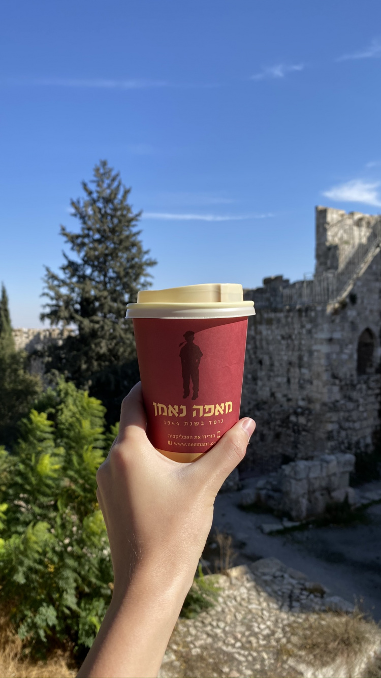 Tourism, Morning, Fast Food, Conifer, Stone Wall. Wallpaper in 750x1334 Resolution