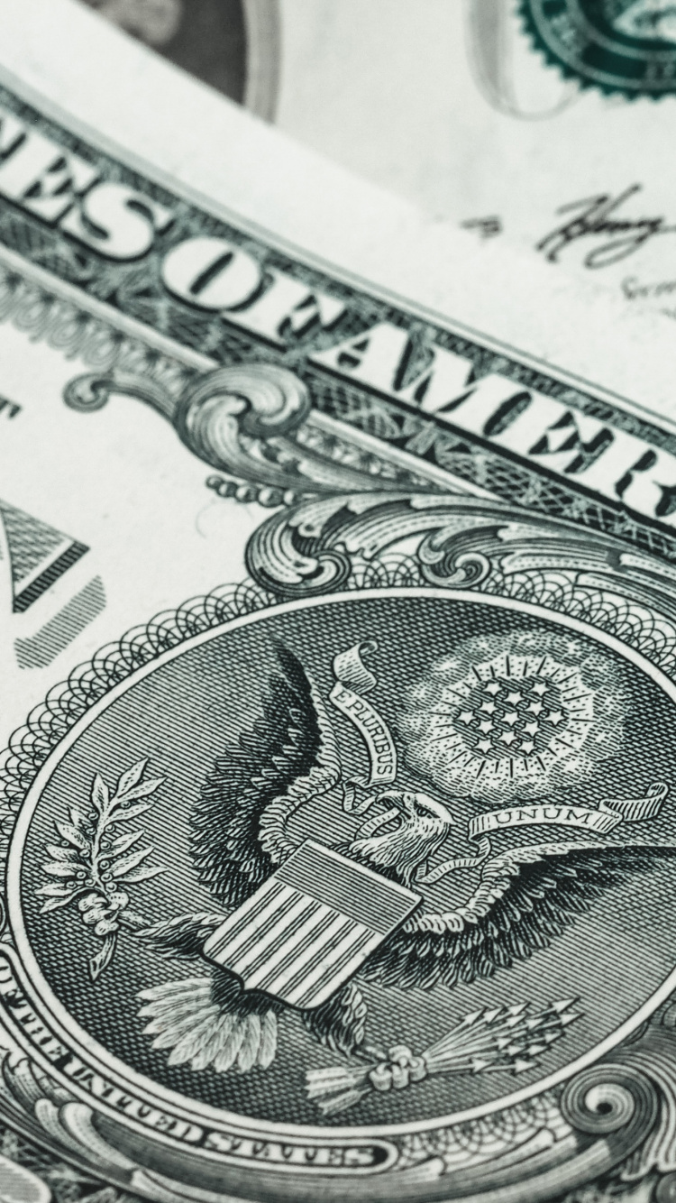 1 us Dollar Bill. Wallpaper in 750x1334 Resolution