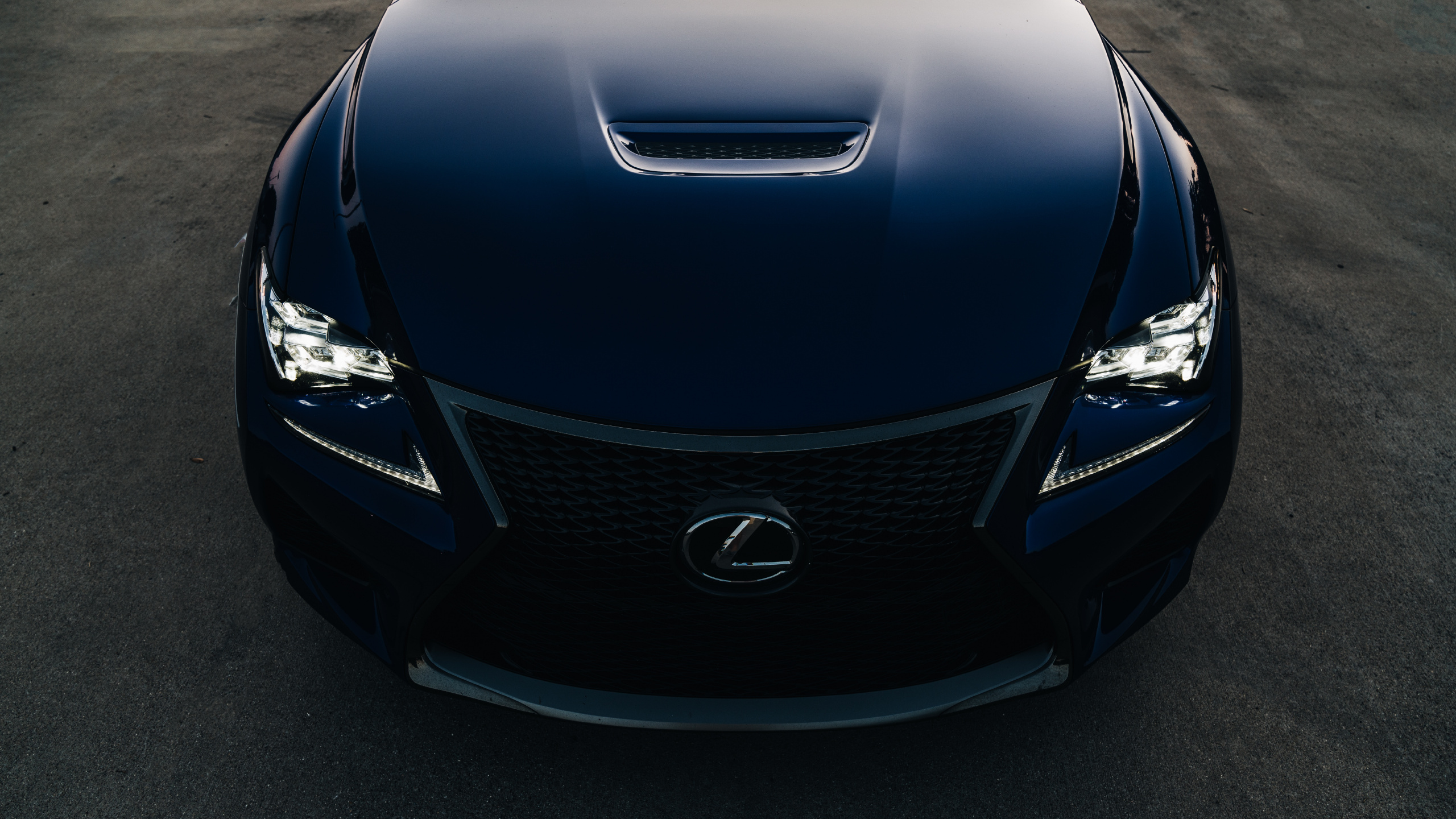 Coche Bmw Azul en la Carretera. Wallpaper in 2560x1440 Resolution