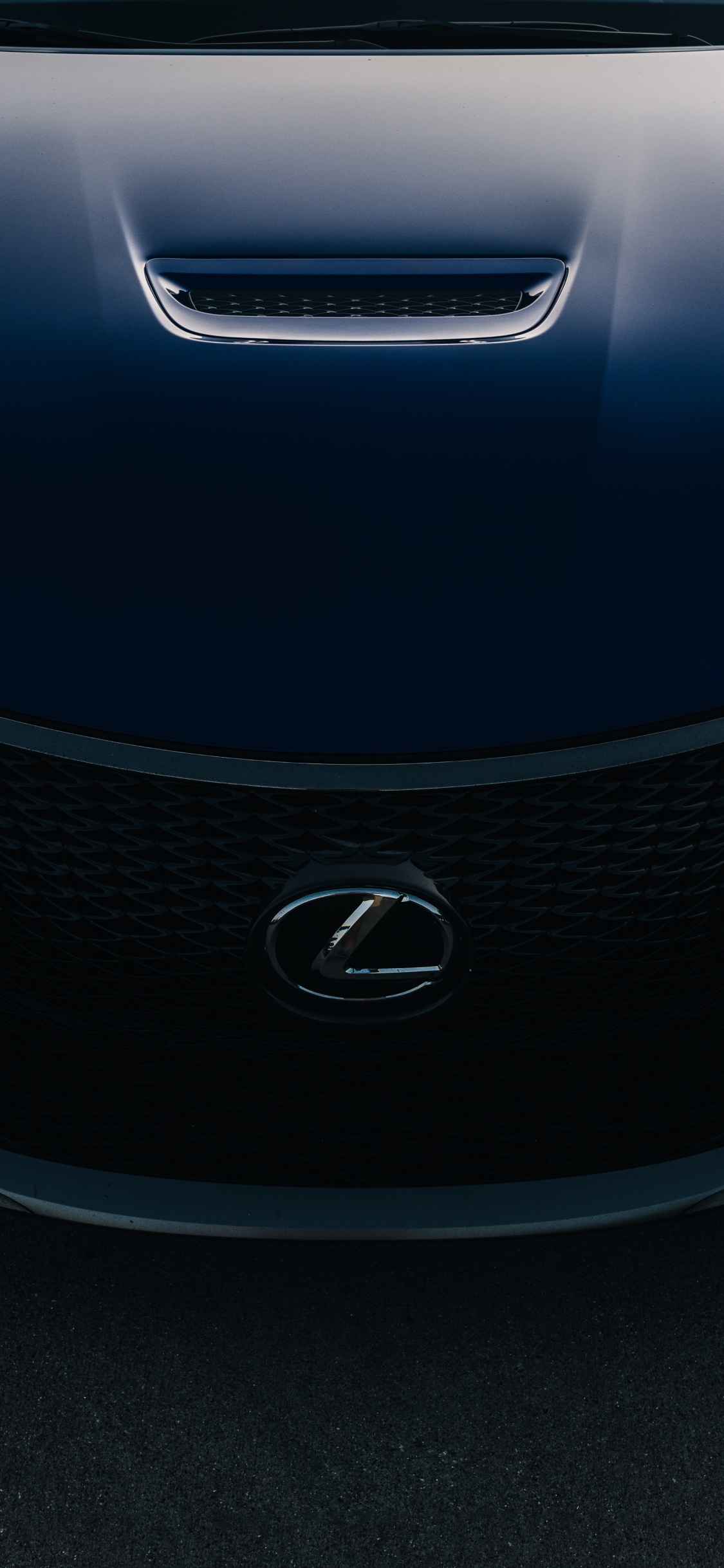 Blue Bmw Car on Road. Wallpaper in 1125x2436 Resolution