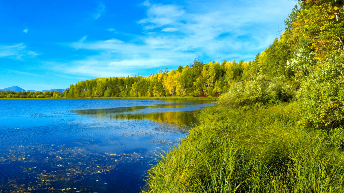 Green Trees Beside River Under Blue Sky During Daytime. Wallpaper in 1366x768 Resolution