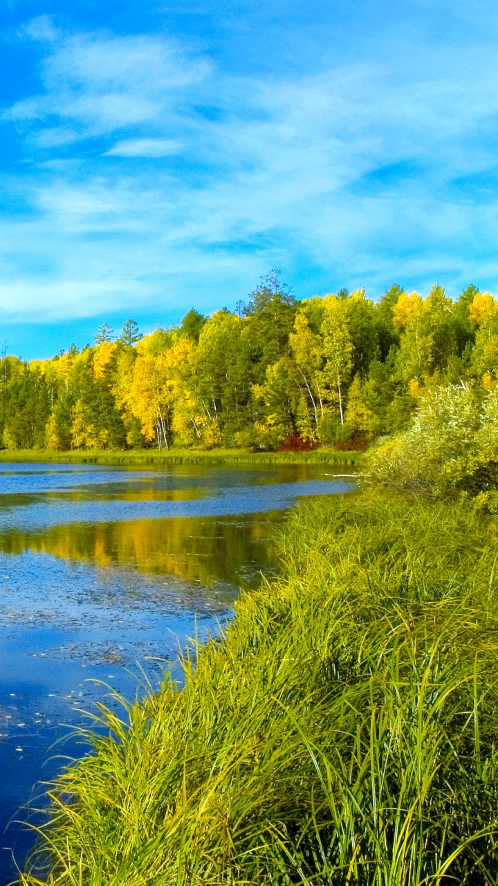 Grüne Bäume Neben Dem Fluss Unter Blauem Himmel Tagsüber. Wallpaper in 720x1280 Resolution