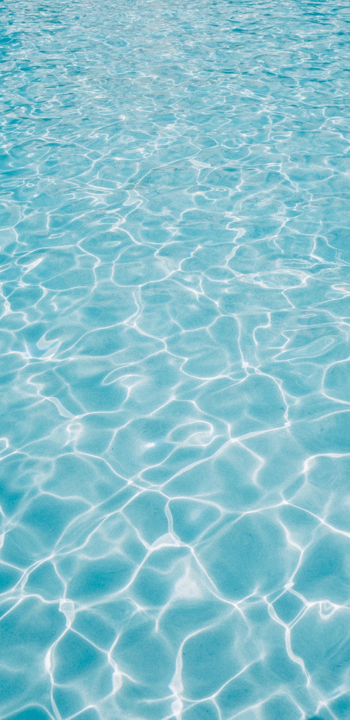 Blue Body of Water During Daytime. Wallpaper in 1440x2960 Resolution