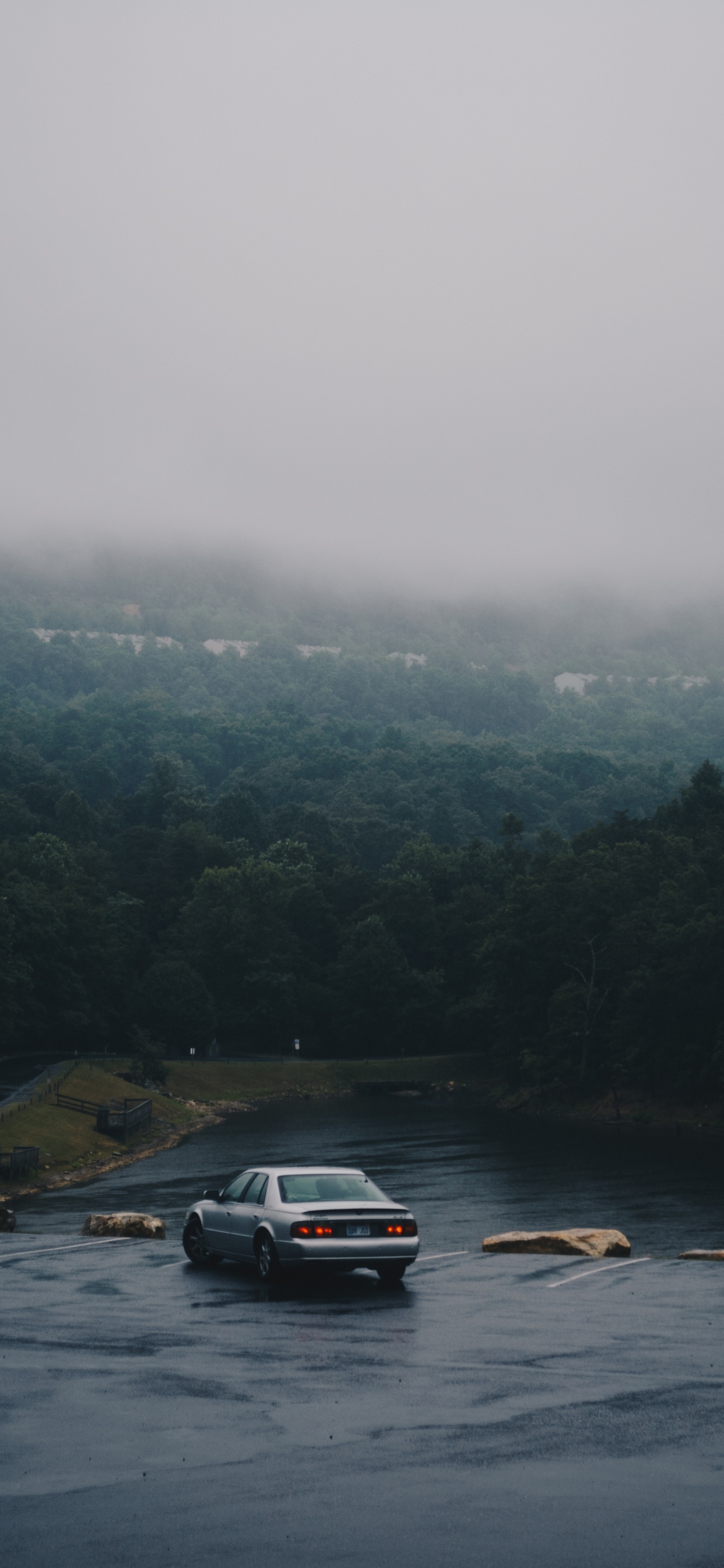 Black Car on Road Near Green Trees During Foggy Day. Wallpaper in 1242x2688 Resolution