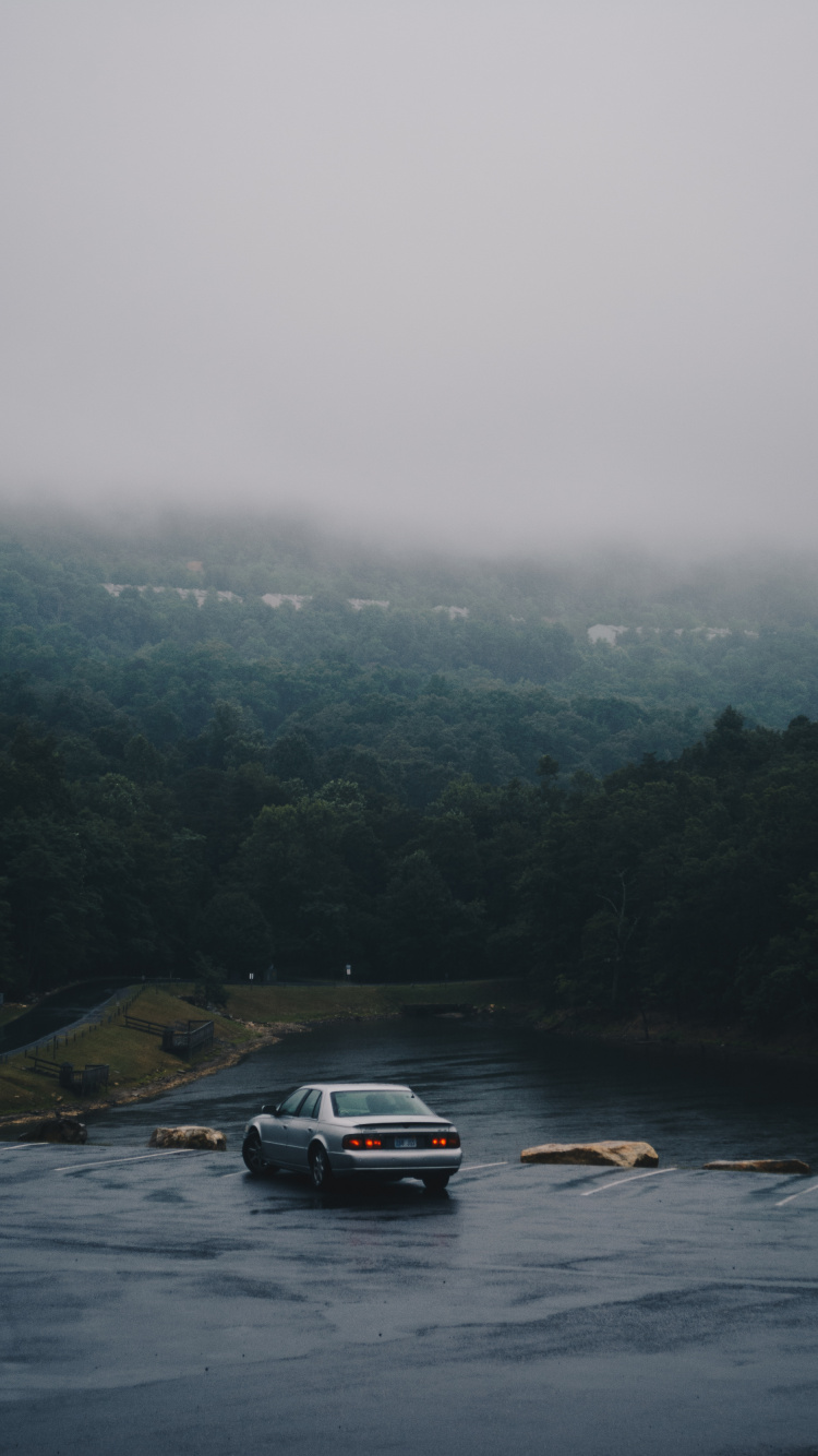 Black Car on Road Near Green Trees During Foggy Day. Wallpaper in 750x1334 Resolution