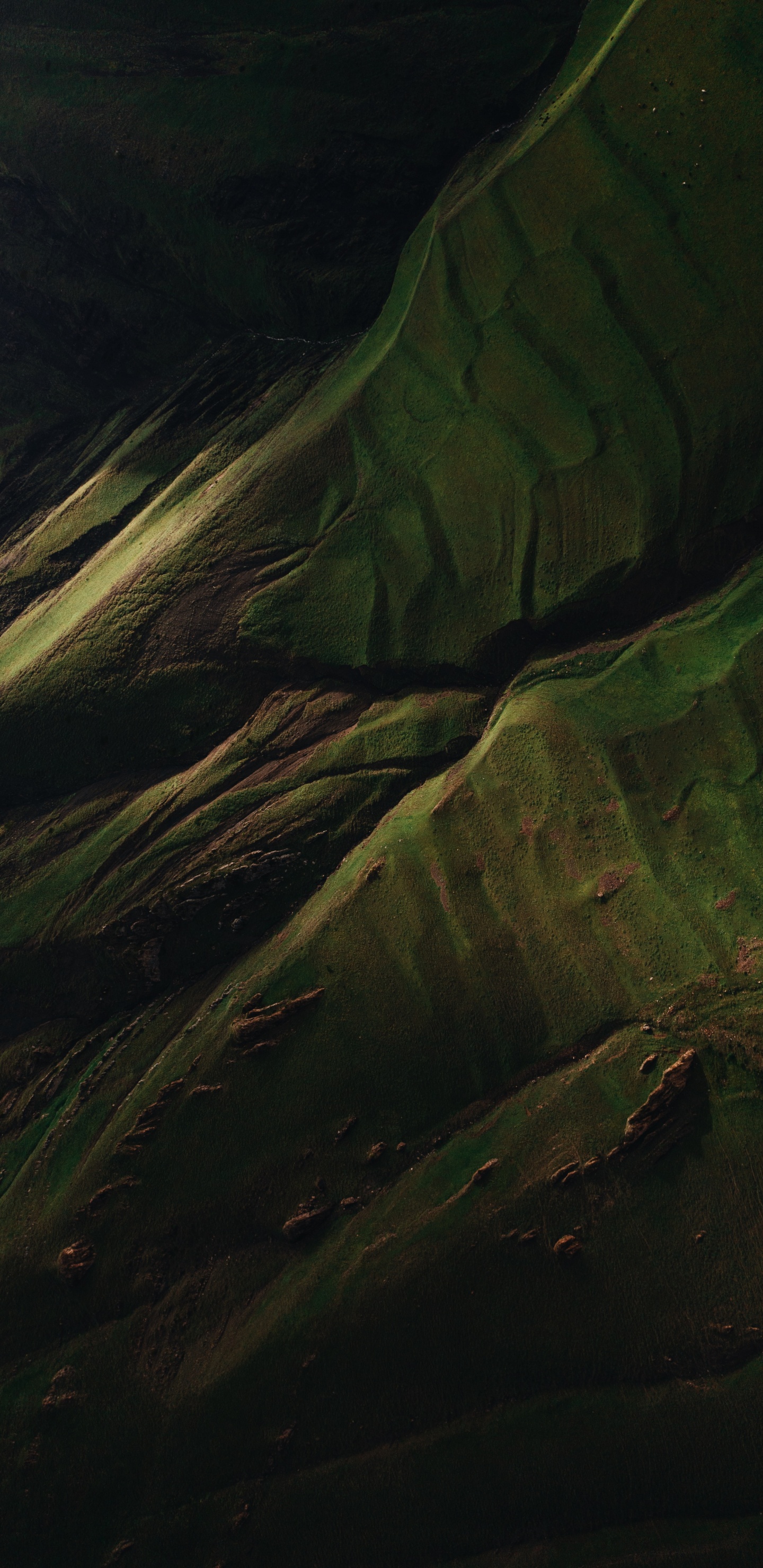 Eau, Plante Terrestre, Prairie, Aile, Obscurité. Wallpaper in 1440x2960 Resolution