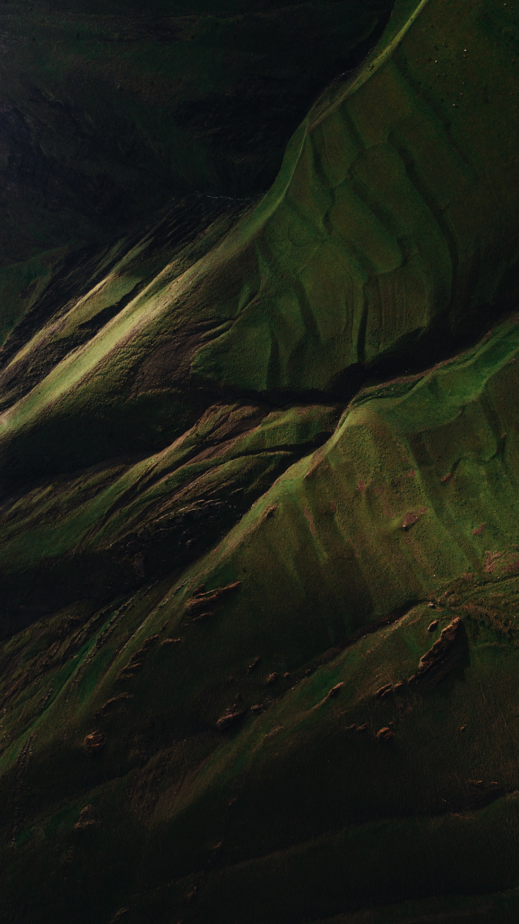 Eau, Plante Terrestre, Prairie, Aile, Obscurité. Wallpaper in 750x1334 Resolution