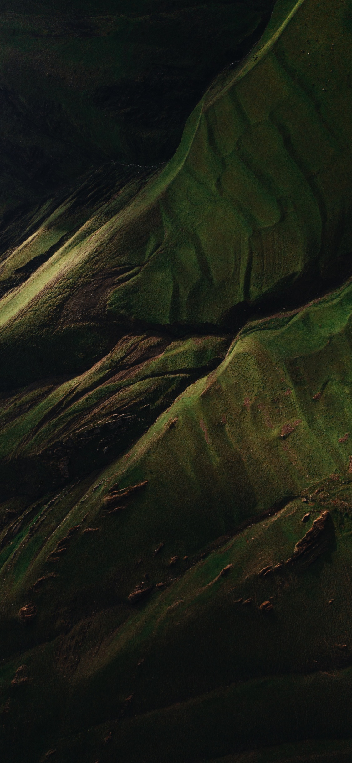 Water, Wood, Terrestrial Plant, Grass, Landscape. Wallpaper in 1125x2436 Resolution