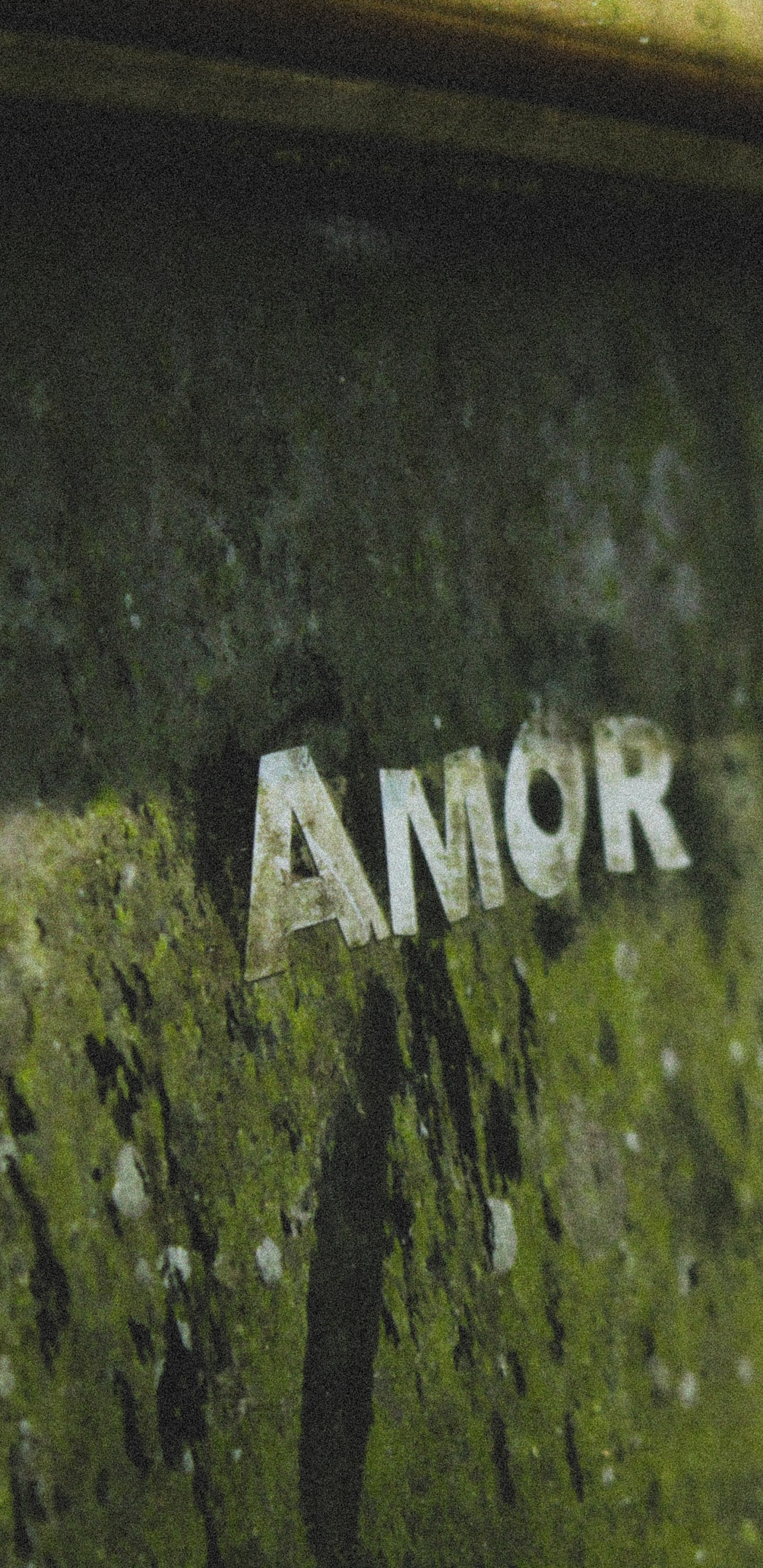 Black and Brown Classic Car. Wallpaper in 1440x2960 Resolution