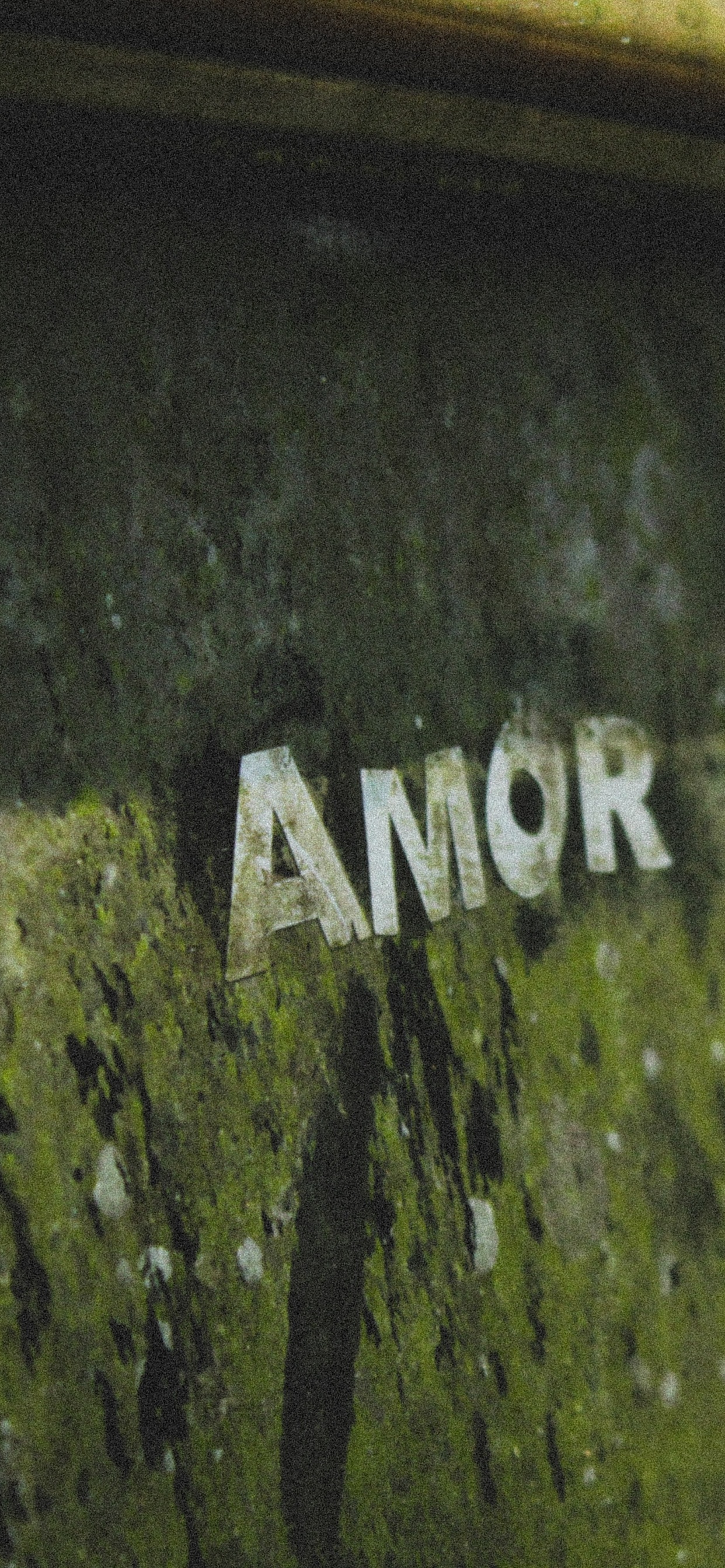 Voiture Classique Noire et Brune. Wallpaper in 1242x2688 Resolution