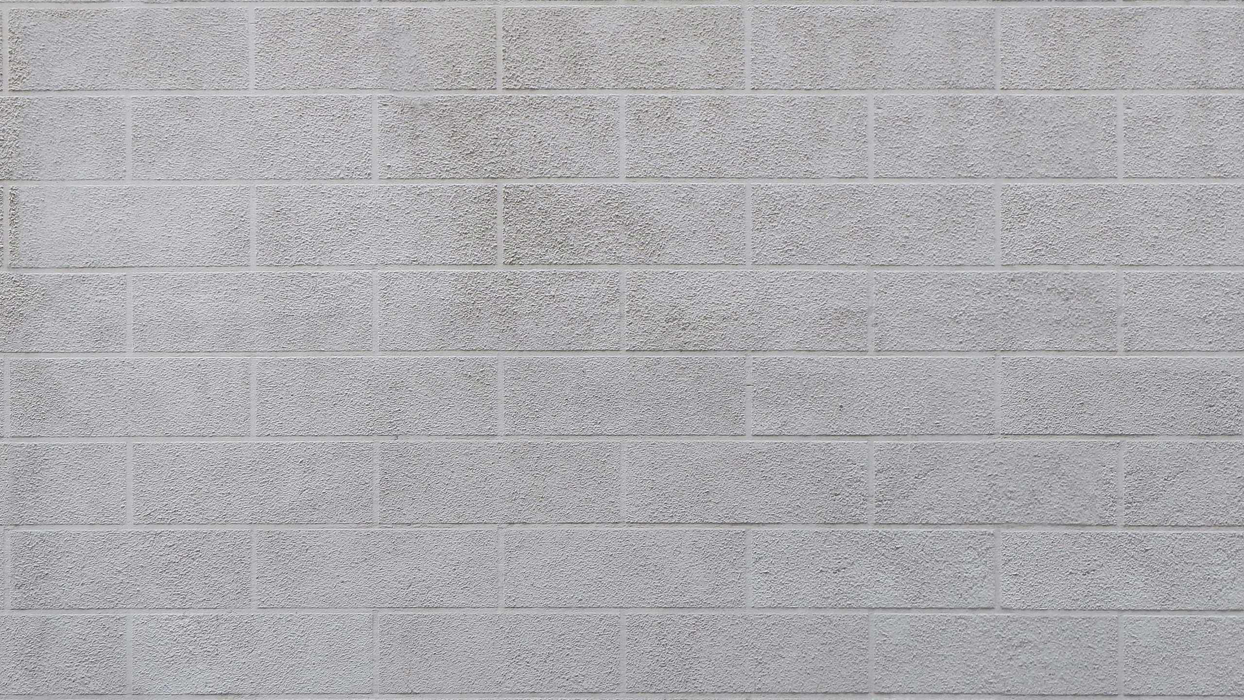 Mur de Briques Grises Pendant la Journée. Wallpaper in 2560x1440 Resolution