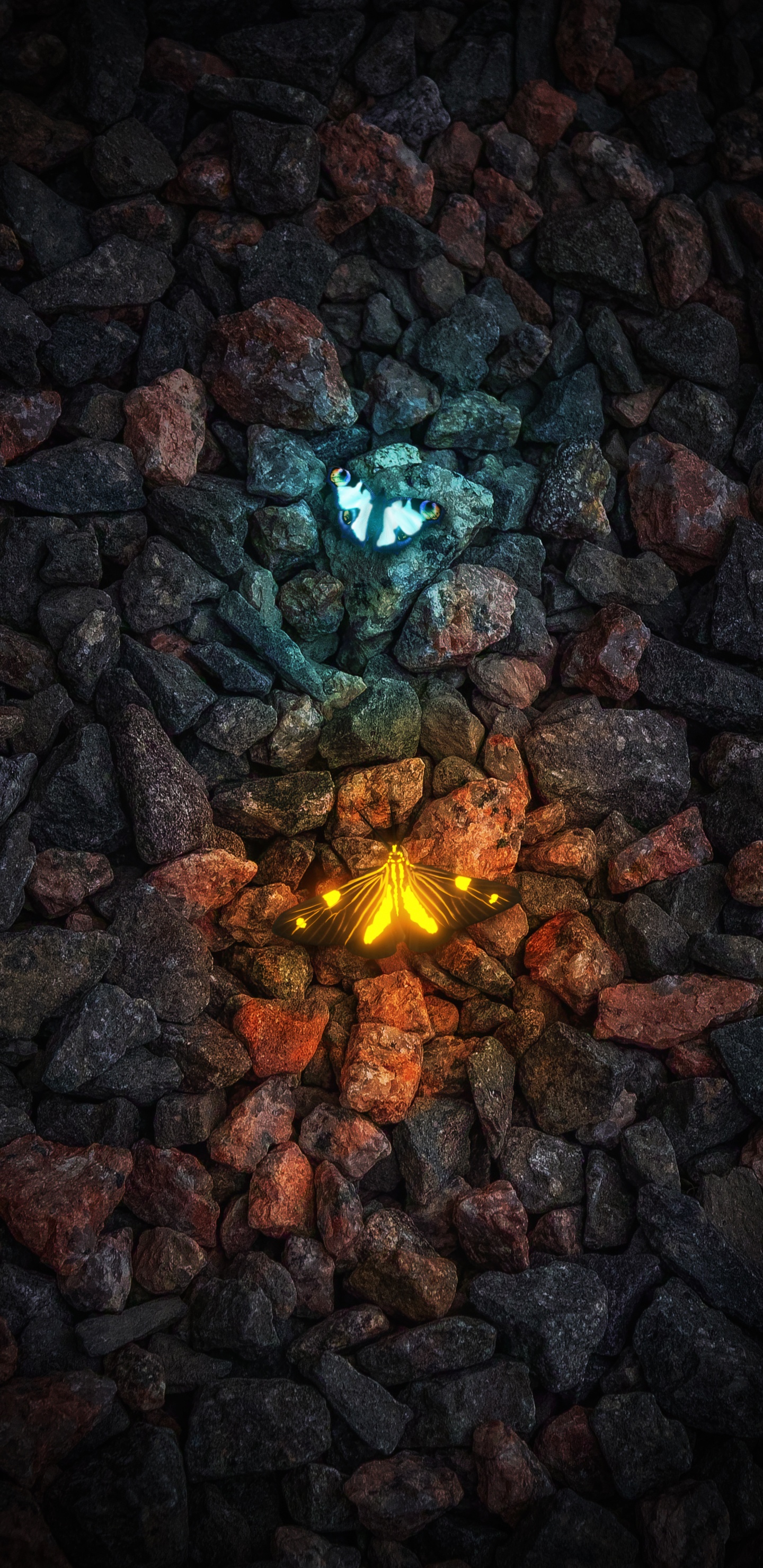 Fuego, Llama, la Superficie de la Carretera, Gas, Madera. Wallpaper in 1440x2960 Resolution