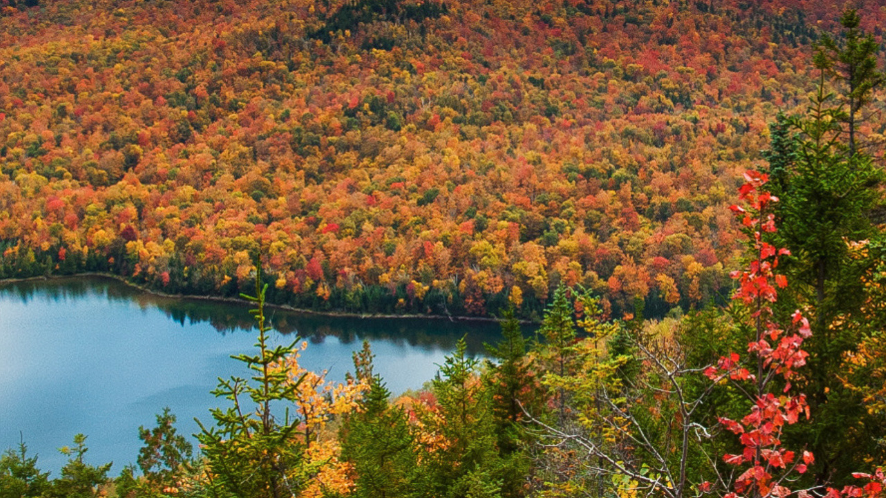 Adirondacks Lago Plácido, Lago Del Corazón, Lago Plácido, Parque Adirondack, Montaña Calva. Wallpaper in 1280x720 Resolution