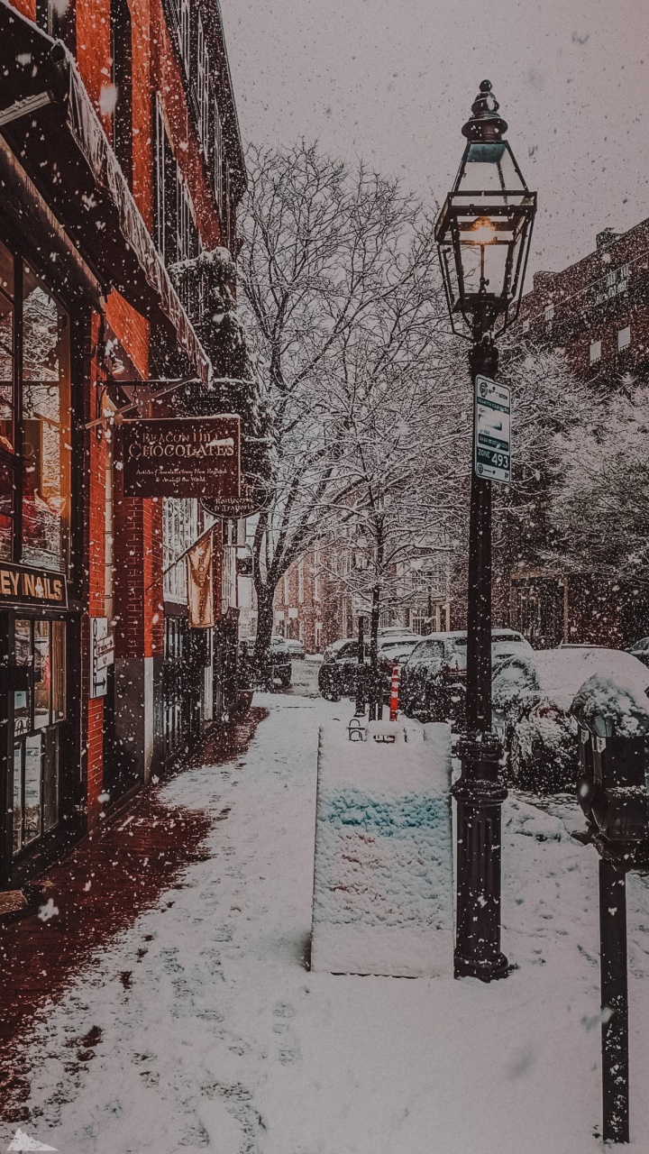 Snow, Building, Street Light, Branch, Tree. Wallpaper in 720x1280 Resolution