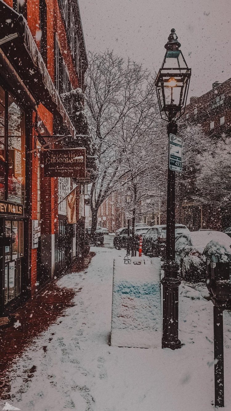 Snow, Building, Street Light, Branch, Tree. Wallpaper in 750x1334 Resolution