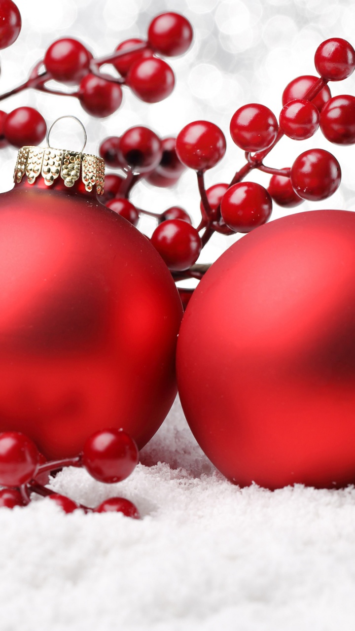 Christmas Day, Christmas Ornament, Christmas Decoration, Fruit, Berry. Wallpaper in 720x1280 Resolution