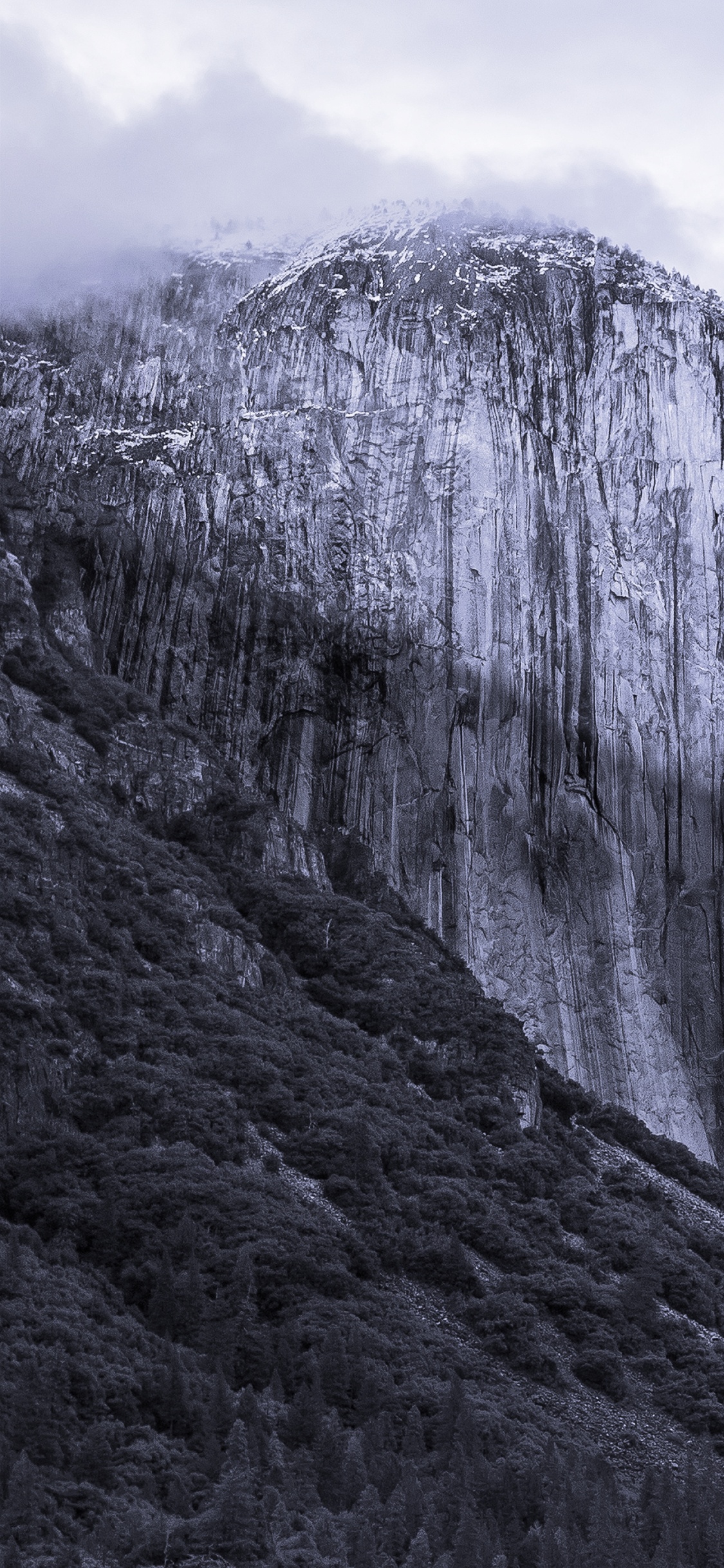 OS X El Capitan, Operating System, Installation, Apples, Apple MacBook Pro. Wallpaper in 1125x2436 Resolution