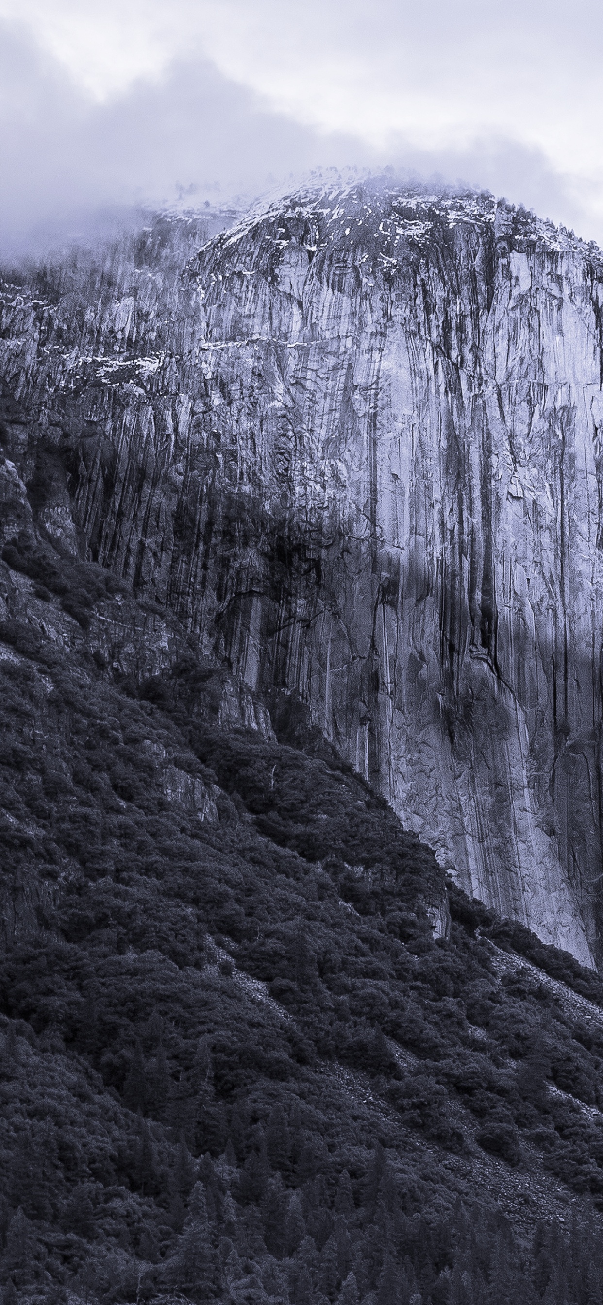 OS X El Capitan, Operating System, Installation, Apples, Apple MacBook Pro. Wallpaper in 1242x2688 Resolution