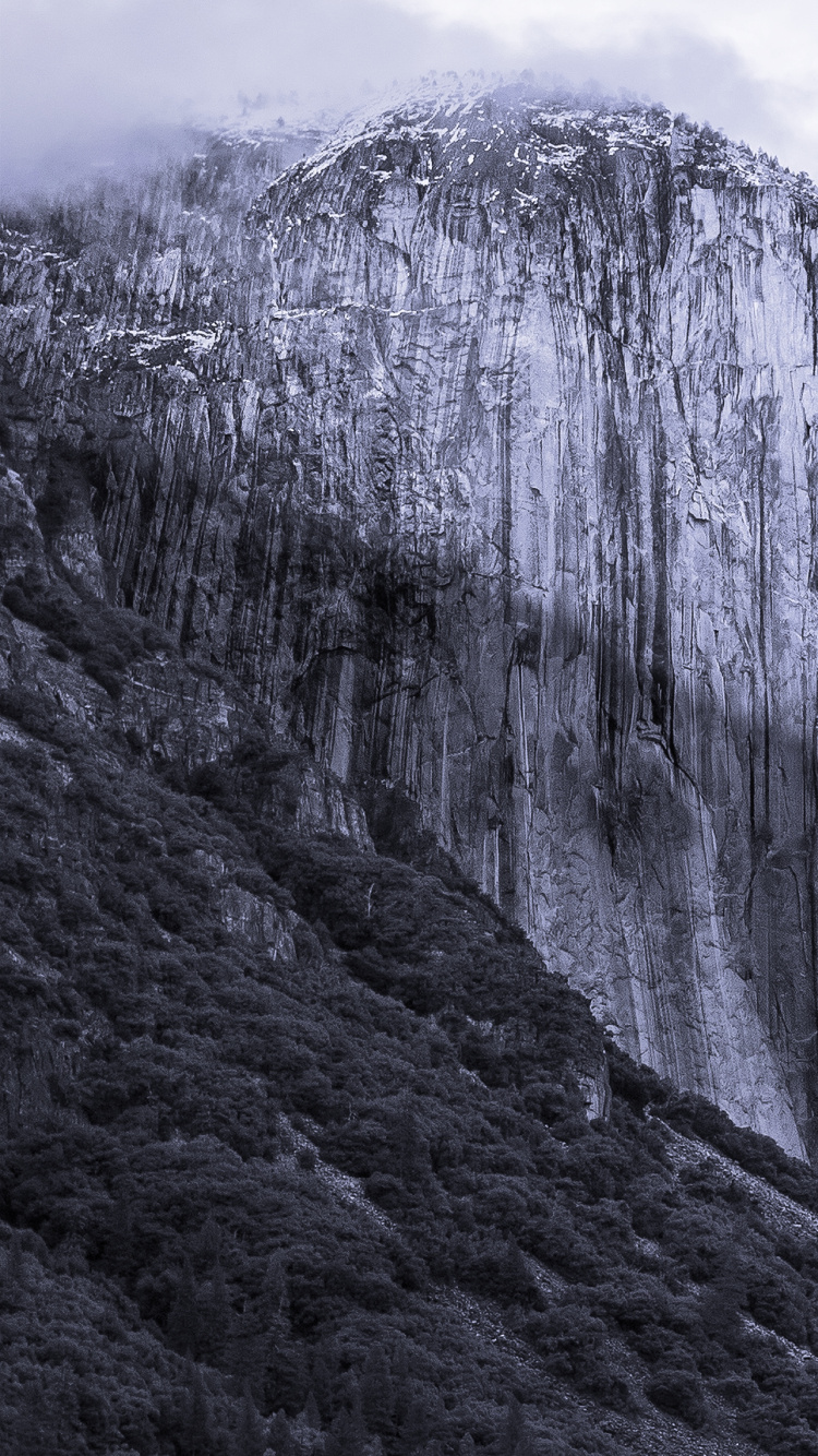 OS X El Capitan, Sistema Operativo, Instalación, Manzana, Apple MacBook Pro. Wallpaper in 750x1334 Resolution