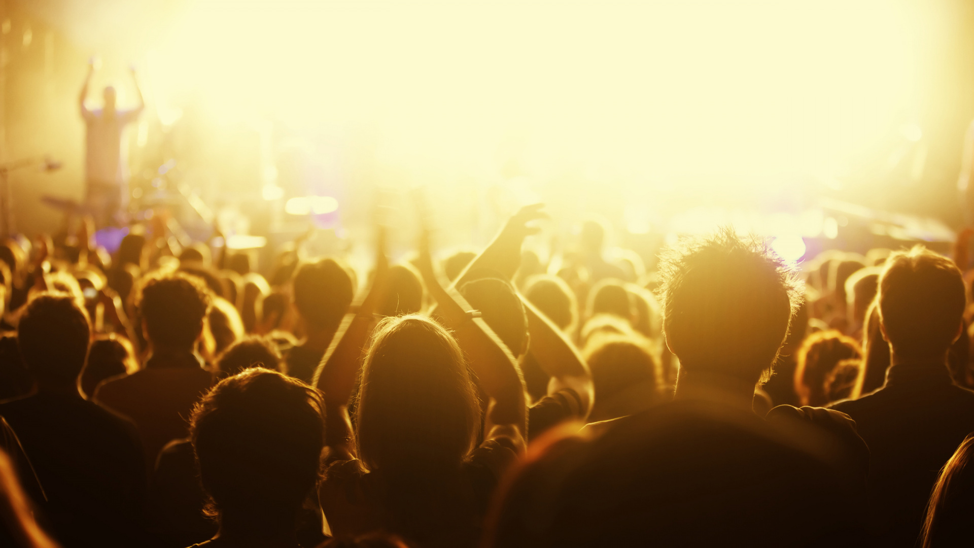 Concert, Crowd, People, Rock Concert, Entertainment. Wallpaper in 1920x1080 Resolution