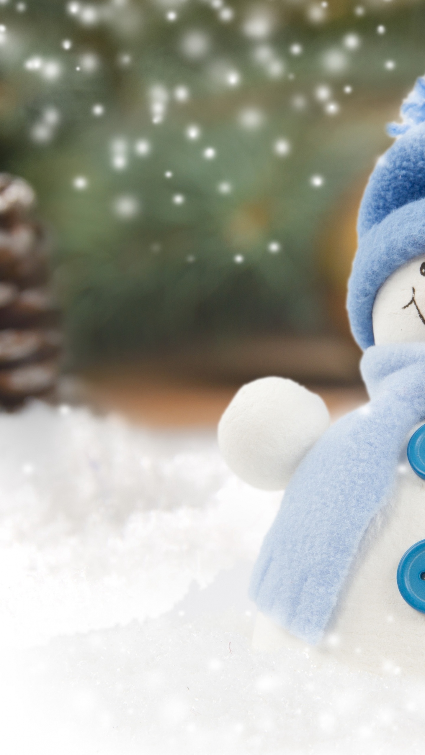 Schneemann Mit Blauem Schal Und Blauem Schal. Wallpaper in 1440x2560 Resolution