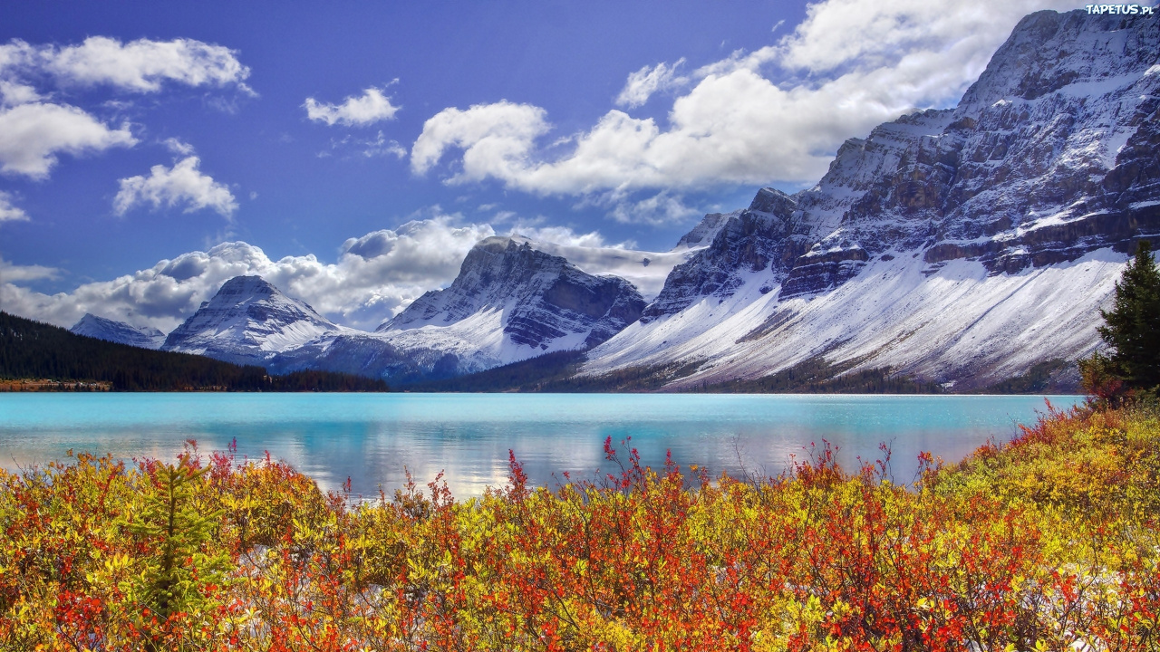Lac Près de la Montagne Couverte de Neige Sous Ciel Bleu Pendant la Journée. Wallpaper in 1280x720 Resolution