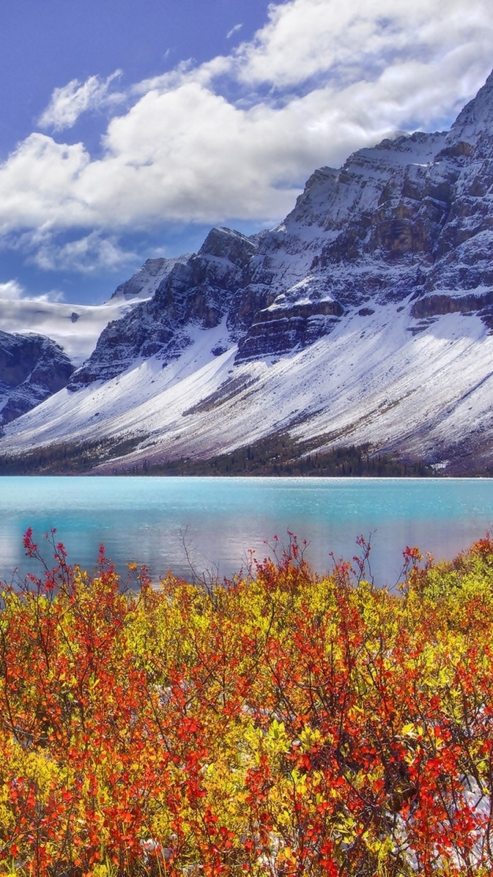 Lac Près de la Montagne Couverte de Neige Sous Ciel Bleu Pendant la Journée. Wallpaper in 720x1280 Resolution