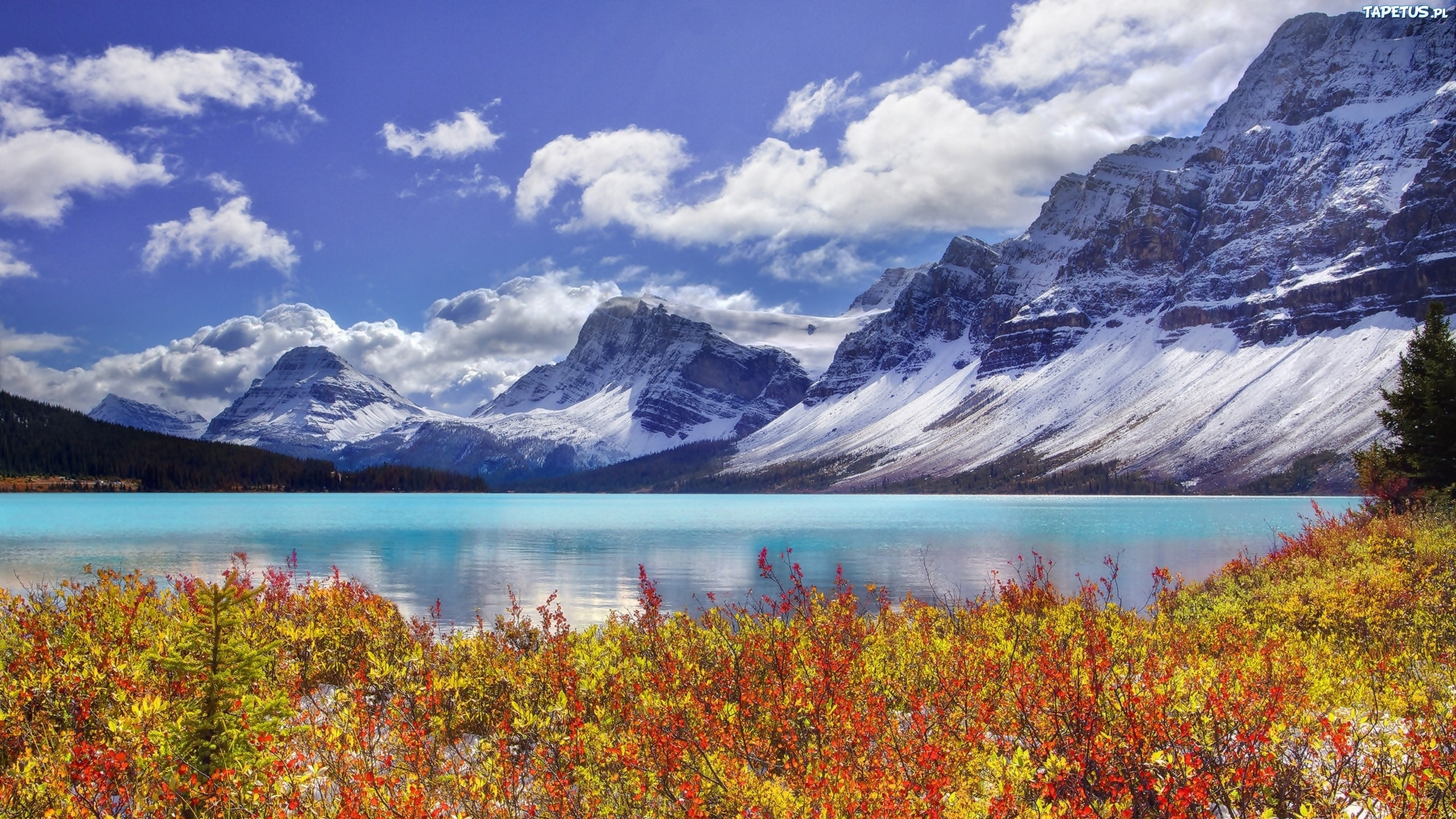 Lake Near Snow Covered Mountain Under Blue Sky During Daytime. Wallpaper in 2560x1440 Resolution