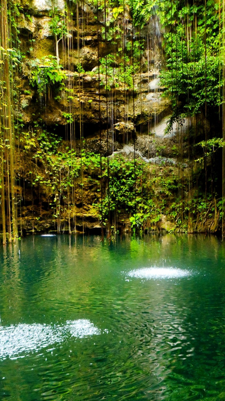 Green Body of Water Between Brown Trees During Daytime. Wallpaper in 750x1334 Resolution