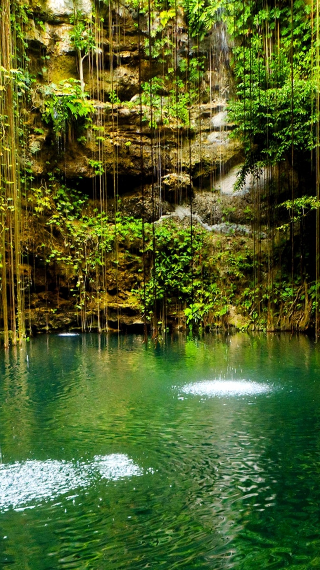 Cuerpo de Agua Verde Entre Árboles Marrones Durante el Día. Wallpaper in 1080x1920 Resolution