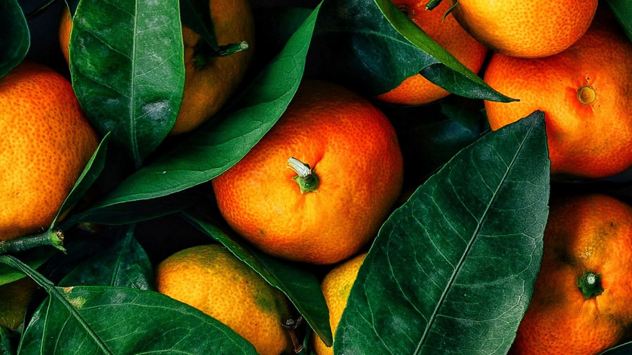 Valencia Orange, Mandarin Orange, Clementine, Lemon, Lime. Wallpaper in 1280x720 Resolution