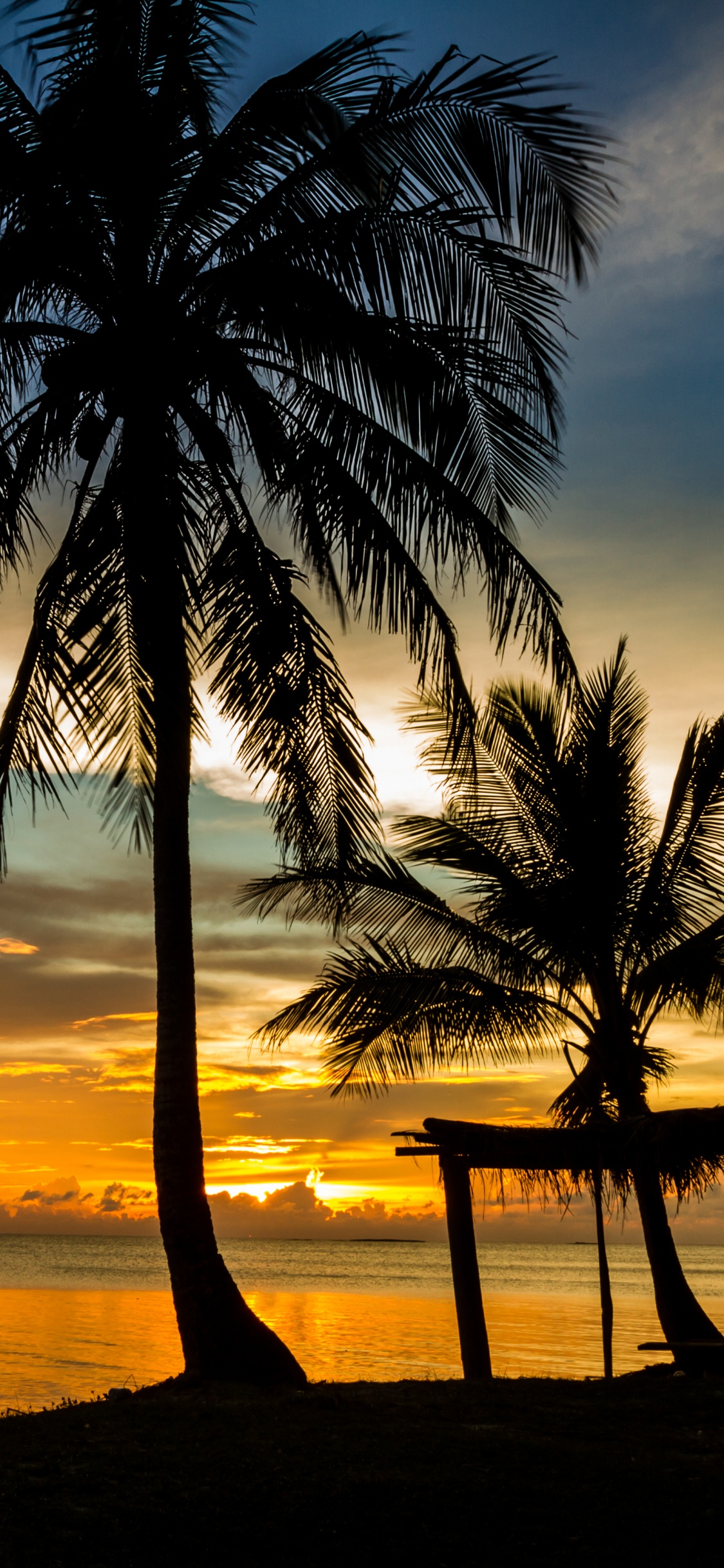Silhouette de Palmiers Sur la Plage Pendant le Coucher du Soleil. Wallpaper in 1125x2436 Resolution