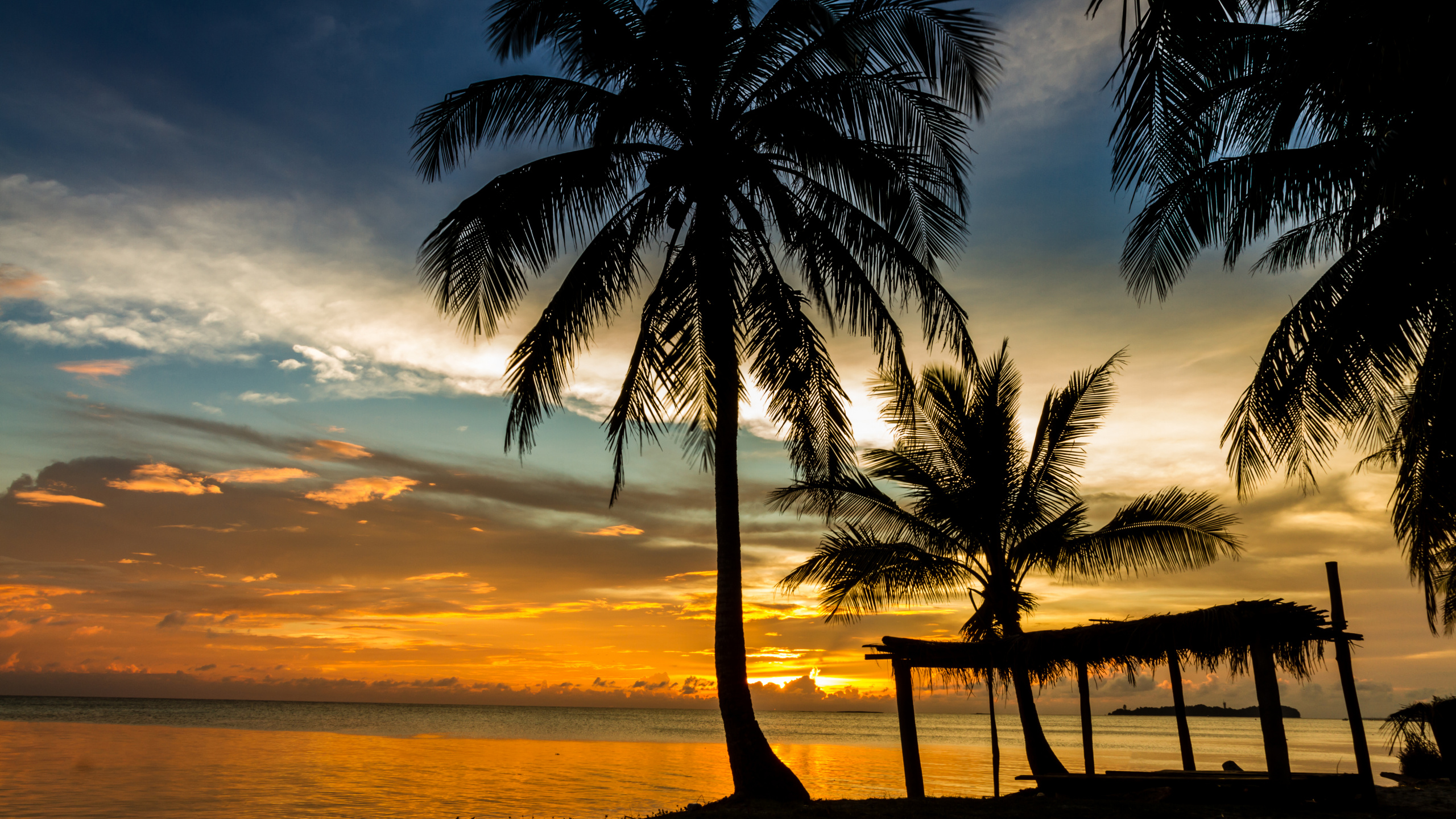 Silhouette de Palmiers Sur la Plage Pendant le Coucher du Soleil. Wallpaper in 2560x1440 Resolution