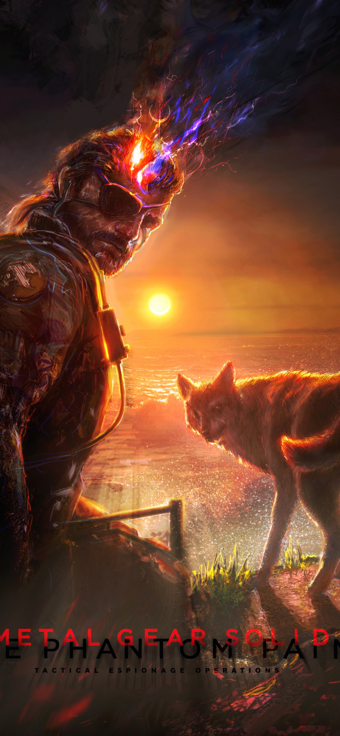 Renard Brun et Blanc Sur la Roche Brune. Wallpaper in 1125x2436 Resolution