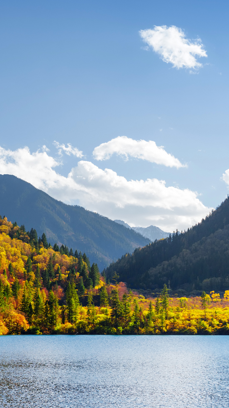Árboles Verdes Cerca Del Lago Bajo un Cielo Azul Durante el Día. Wallpaper in 750x1334 Resolution